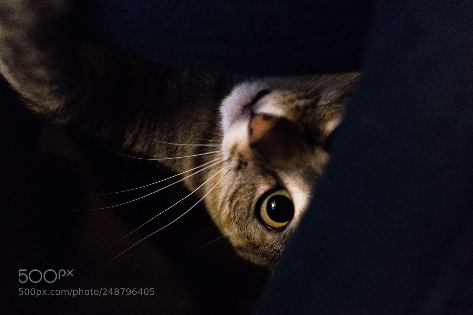 Sony a6000 sample photo. Nami jugando photography
