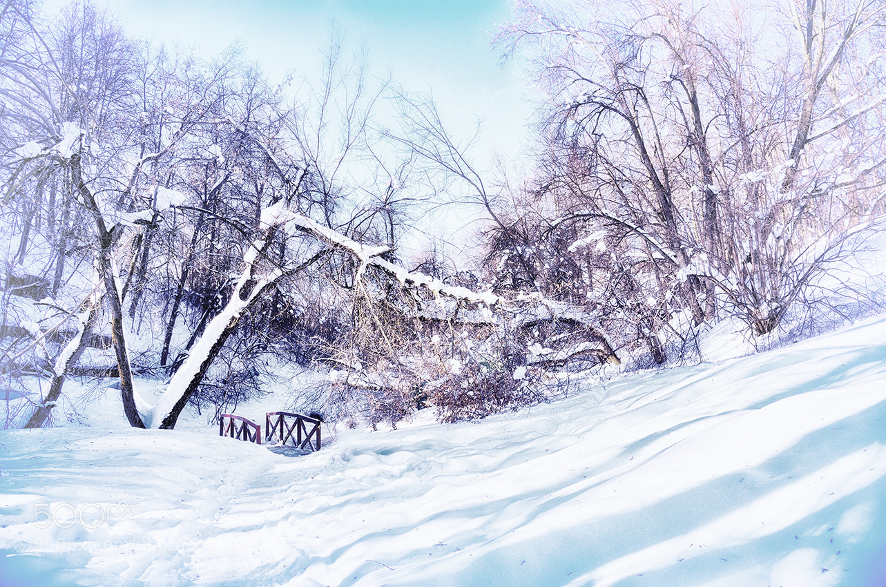 Nikon Df sample photo. Winter landscape. photography