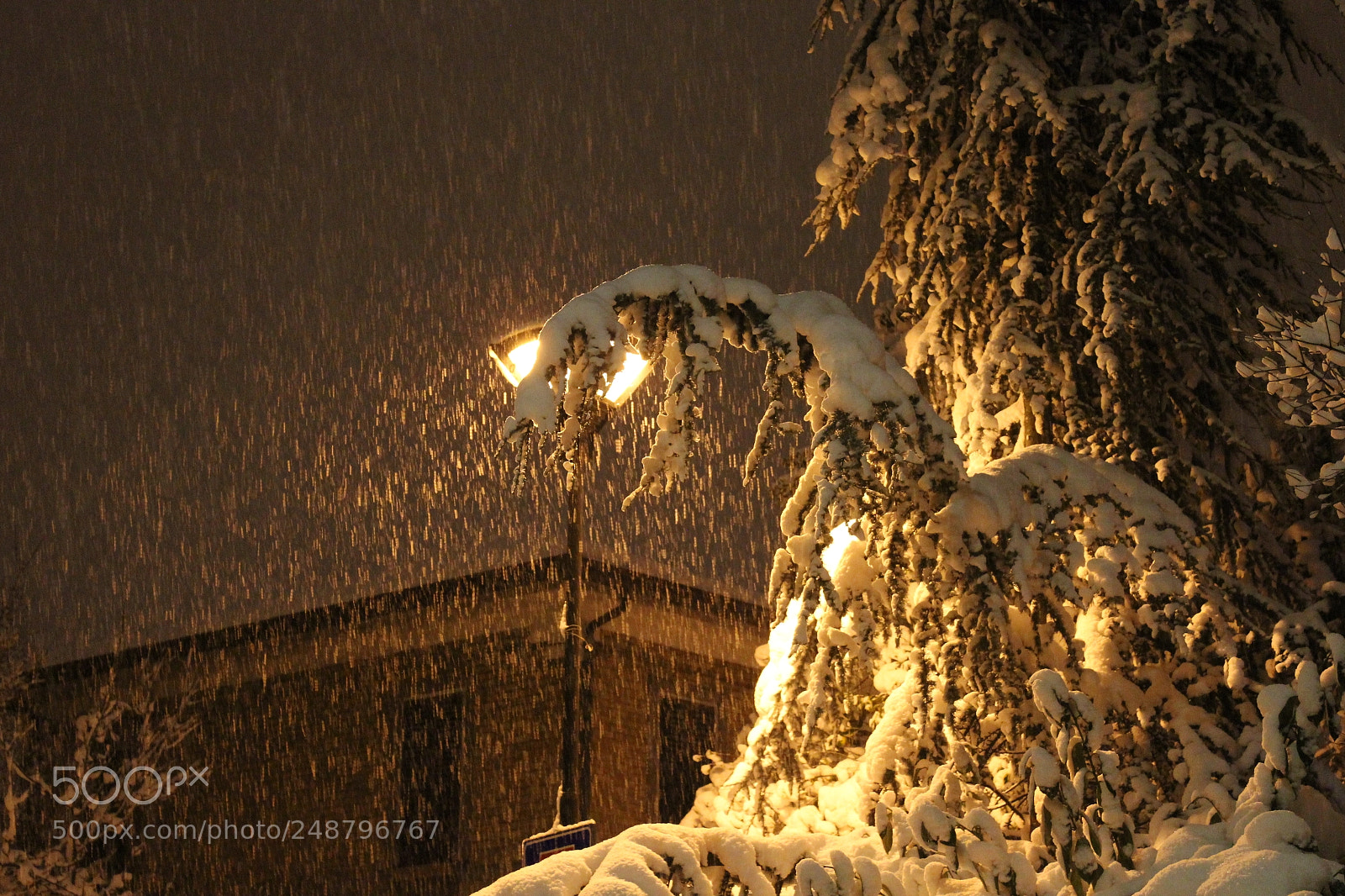 Canon EF-S 18-55mm F3.5-5.6 IS sample photo. San giovanni marignano (rn) photography