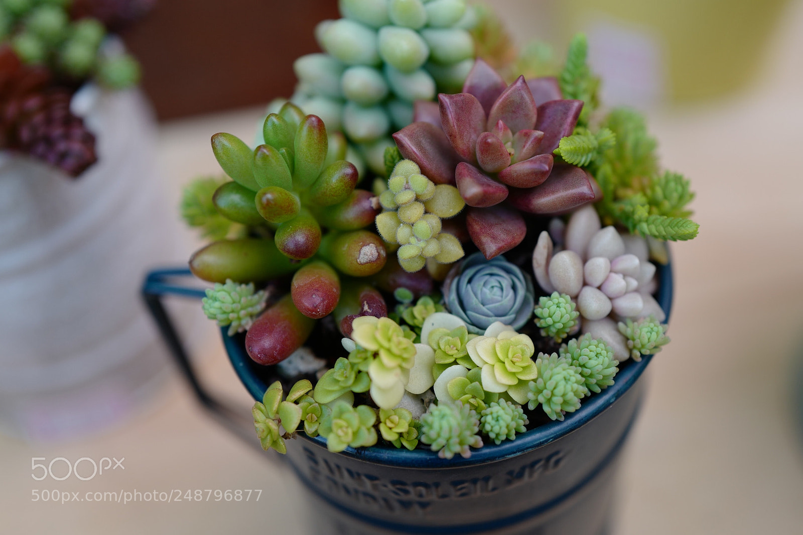 Leica Q (Typ 116) sample photo. Untitled photography