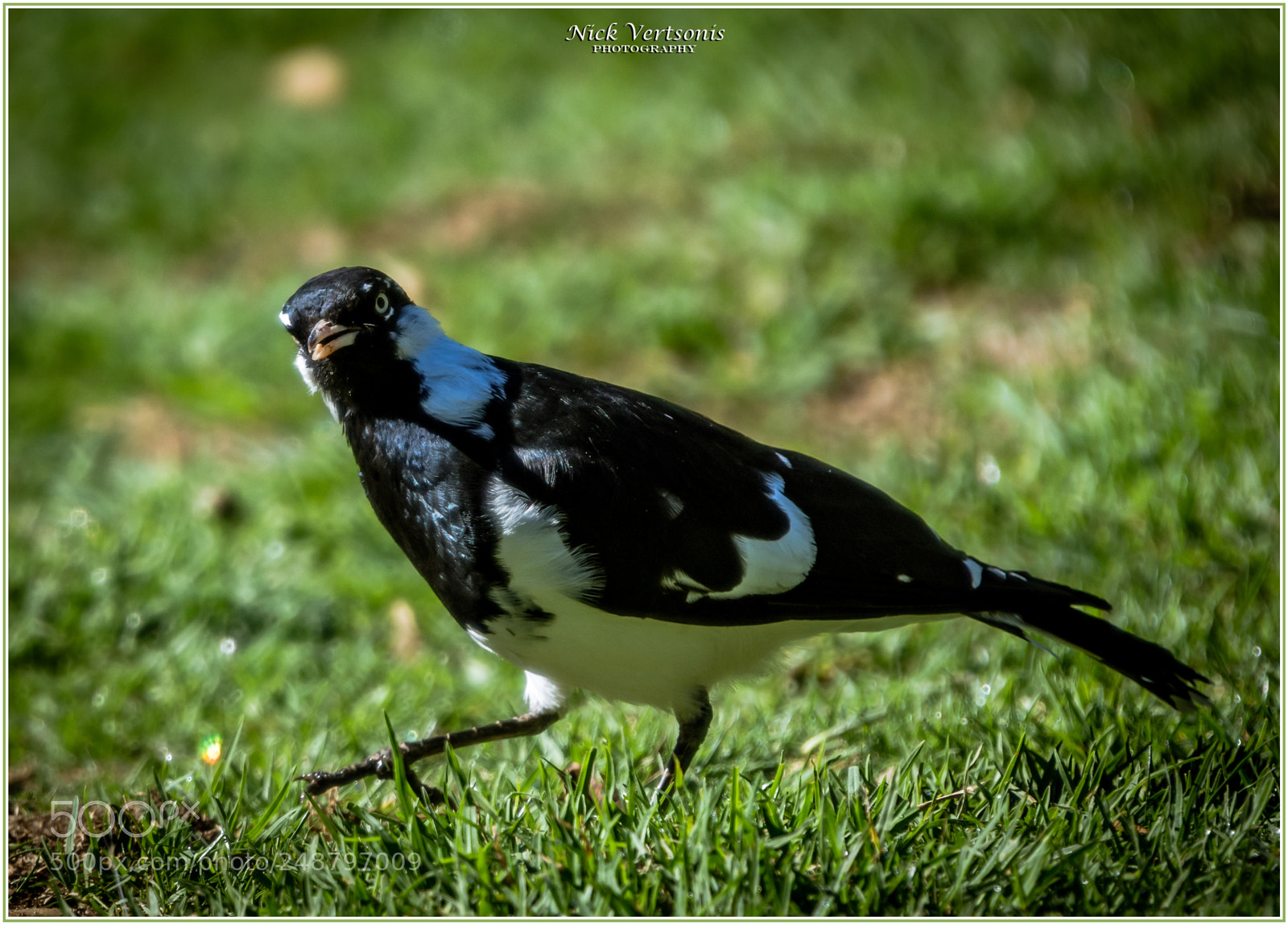 Nikon D7200 sample photo. Humanwatching... photography
