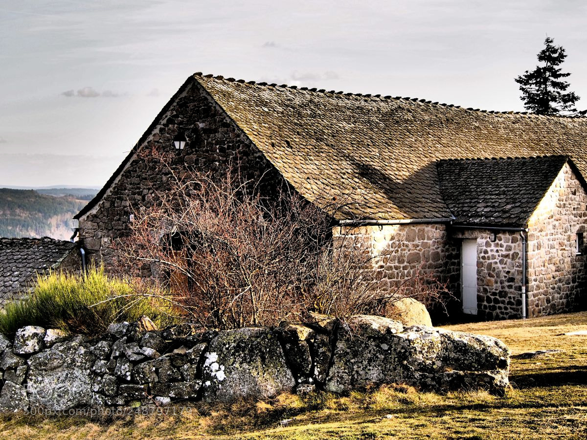 Olympus OM-D E-M5 sample photo. Ferme d'aubrac photography