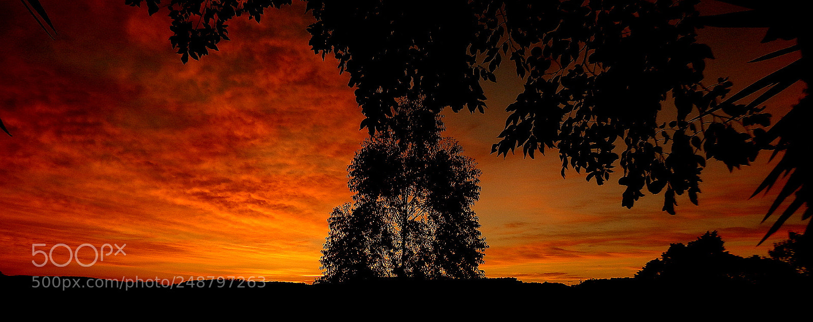 Fujifilm FinePix SL1000 sample photo. Hot sunrise ... photography