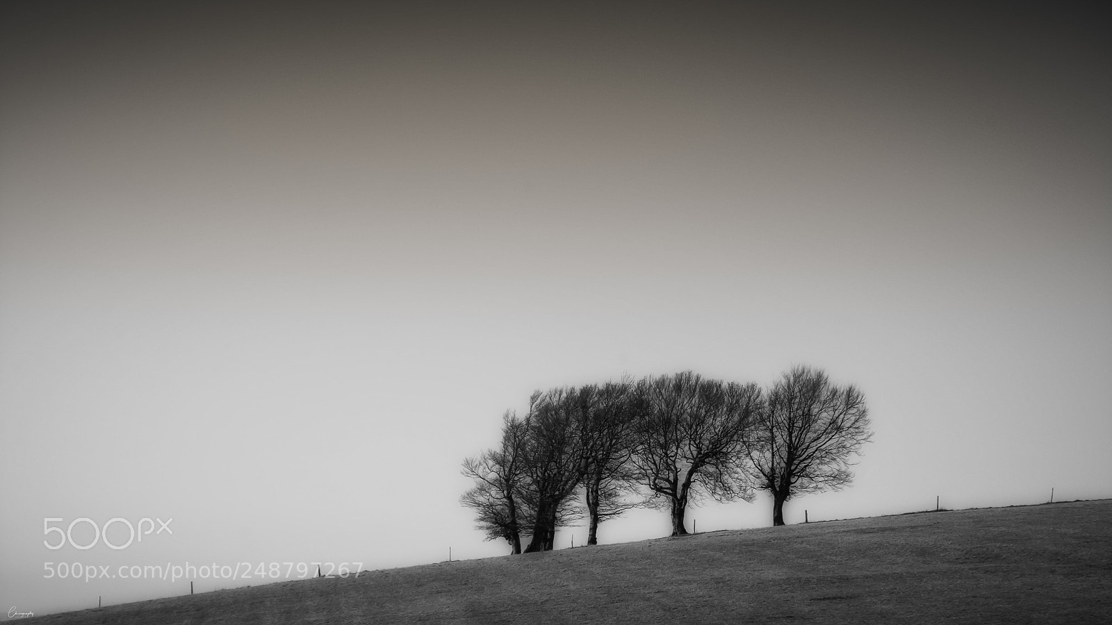 Nikon D7100 sample photo. Schauinsland bw photography