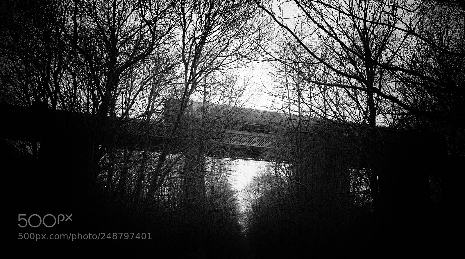 Sony a7R II sample photo. Sheffield to leeds photography