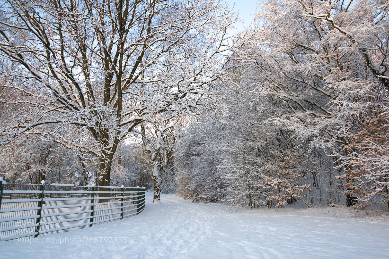 Pentax K-3 sample photo. Winter park landscape photography