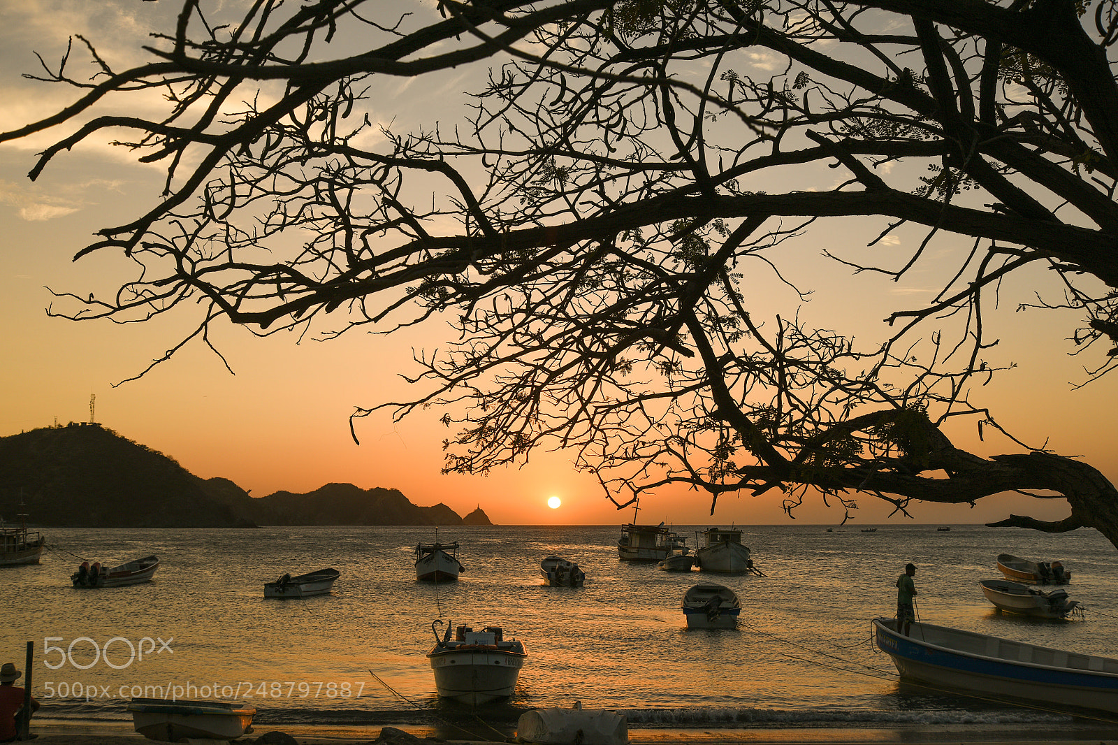 Nikon D810 sample photo. Taganga photography