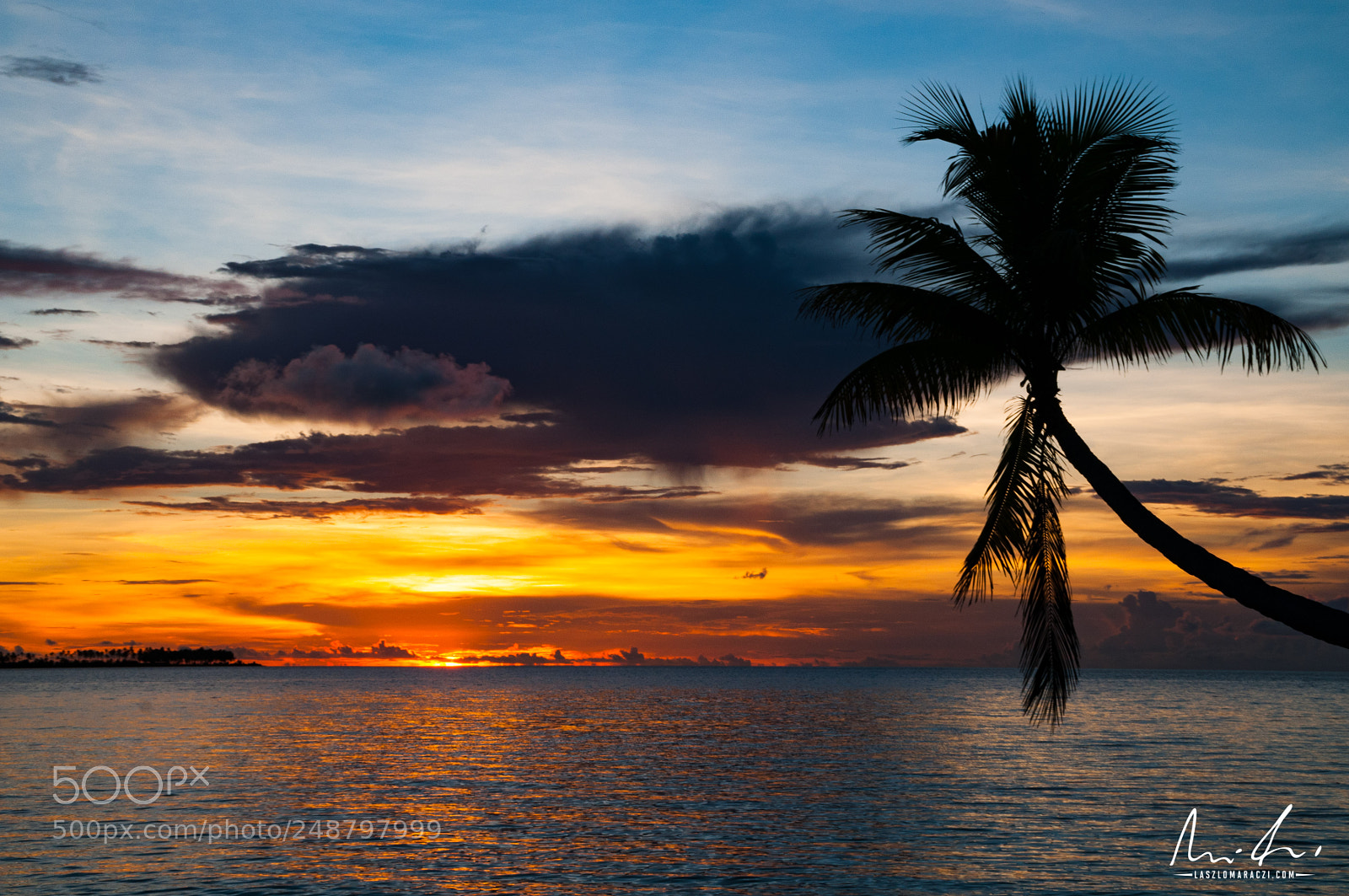 Nikon D300 sample photo. Sunset with palm tree photography