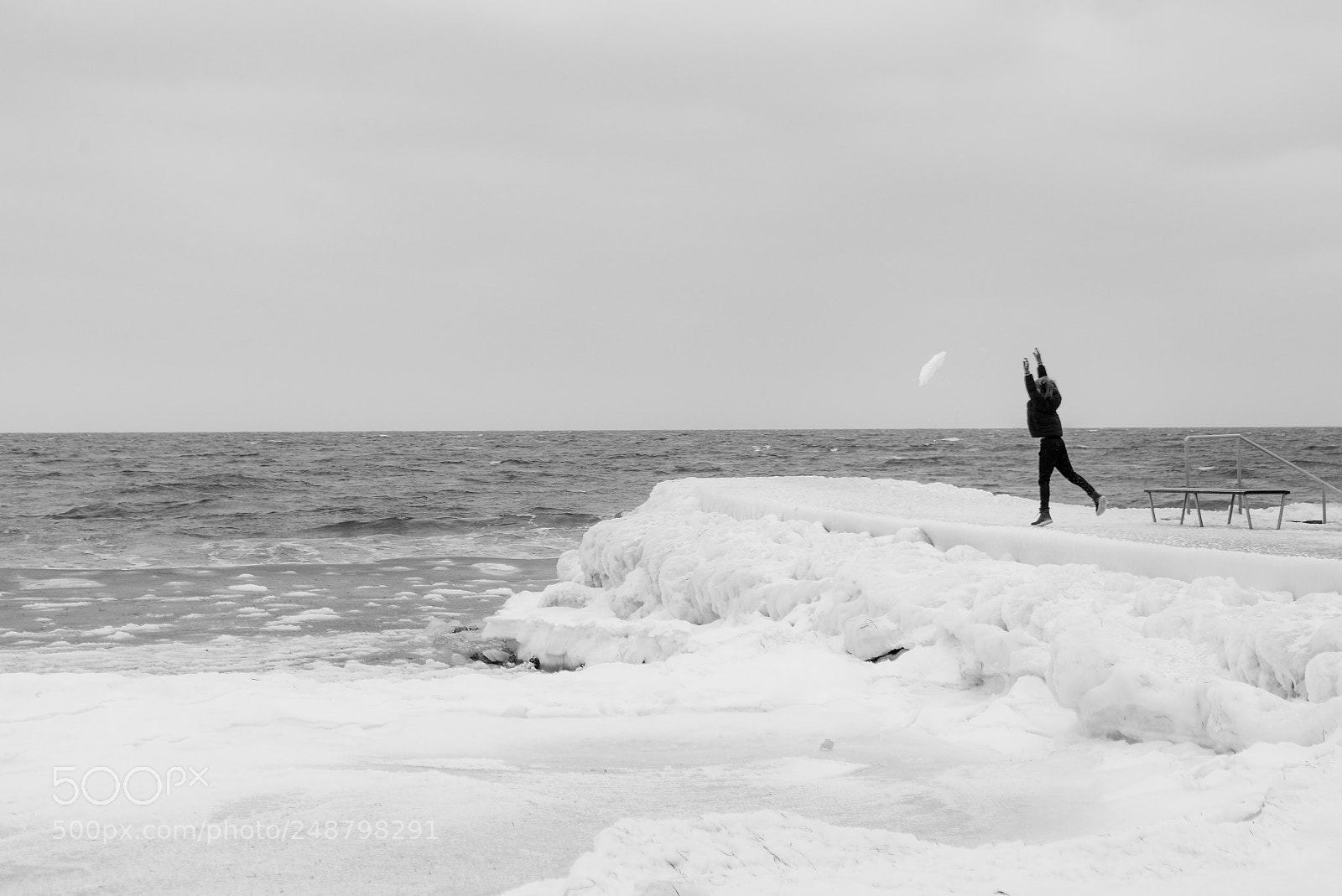 Nikon D600 sample photo. Winter photography