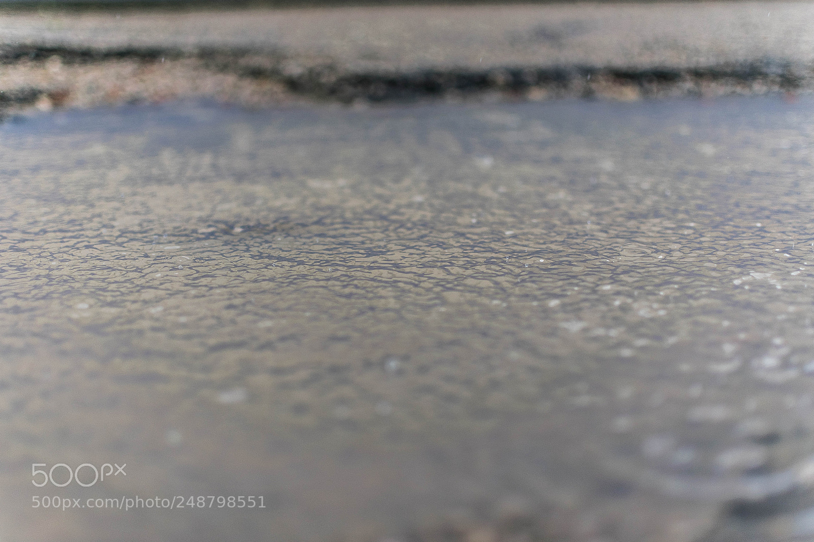 Nikon D3300 sample photo. Rainy photography