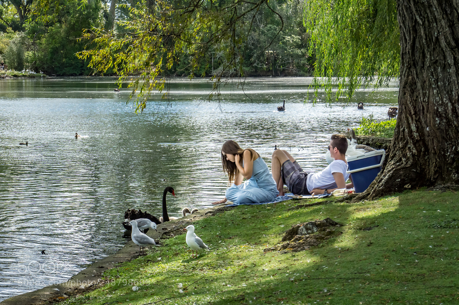 Sony a5100 sample photo. Lakeside leisure photography