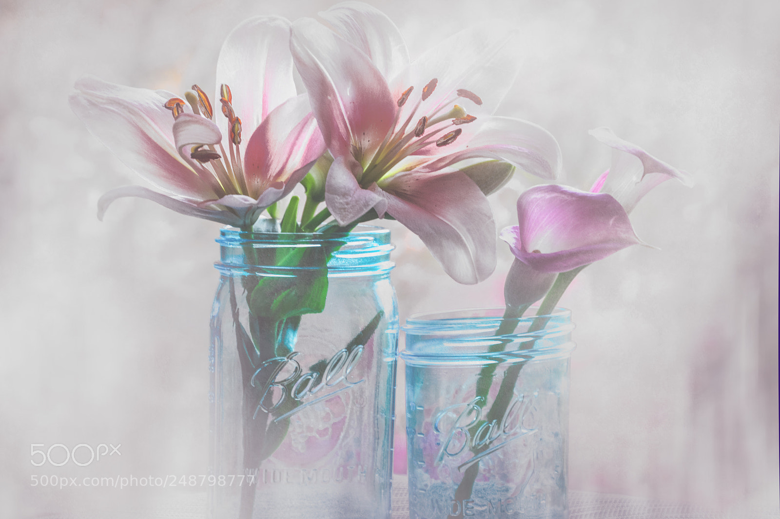 Nikon D5200 sample photo. Floral sound photography