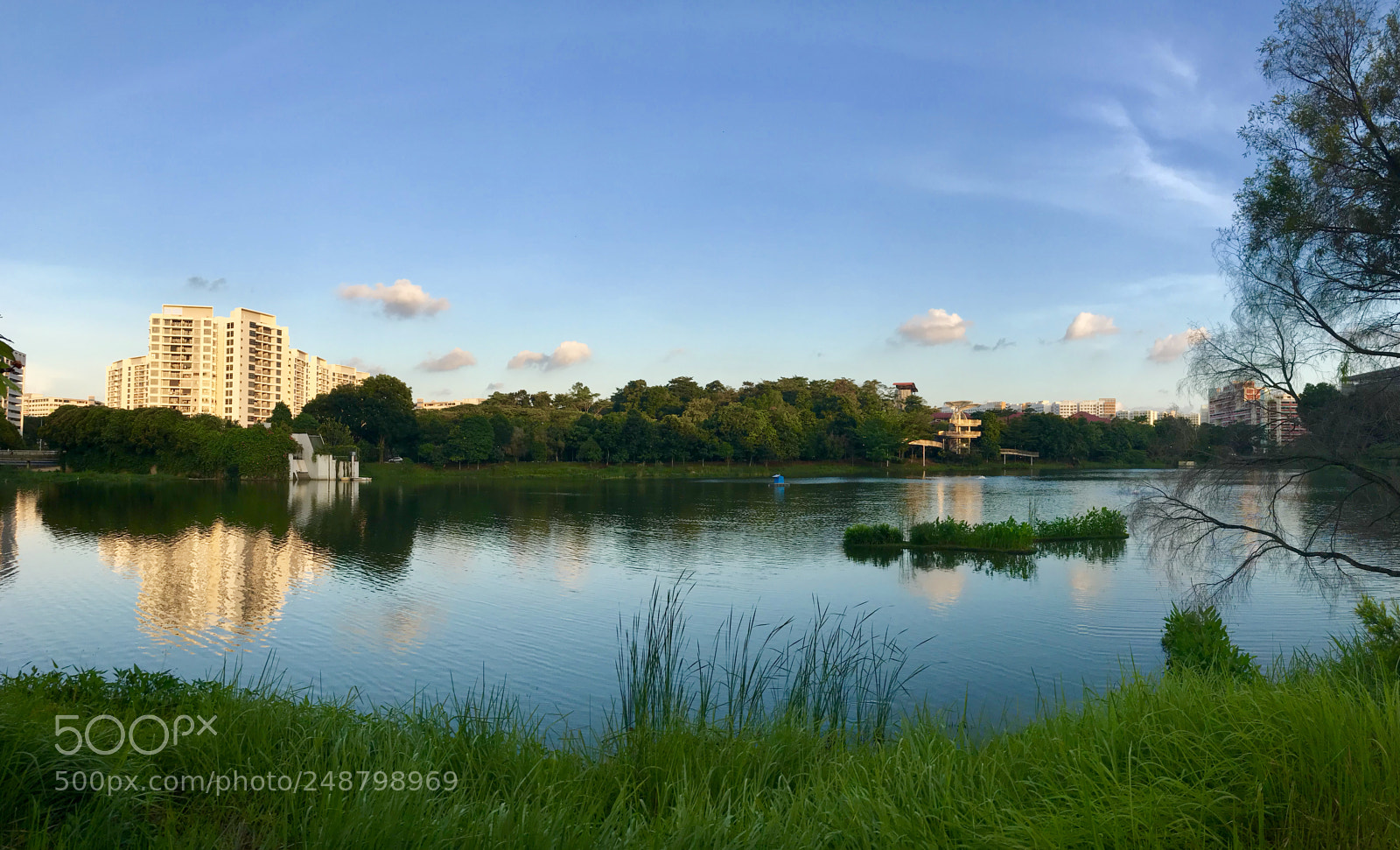 Apple iPhone 7 Plus sample photo. Evening stroll. photography