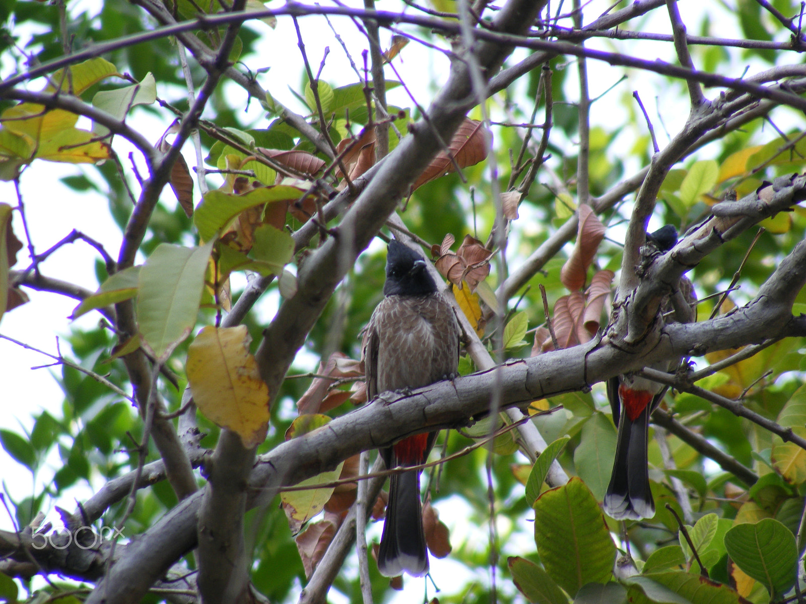 Fujifilm FinePix S5700 S700 sample photo. Nature photography