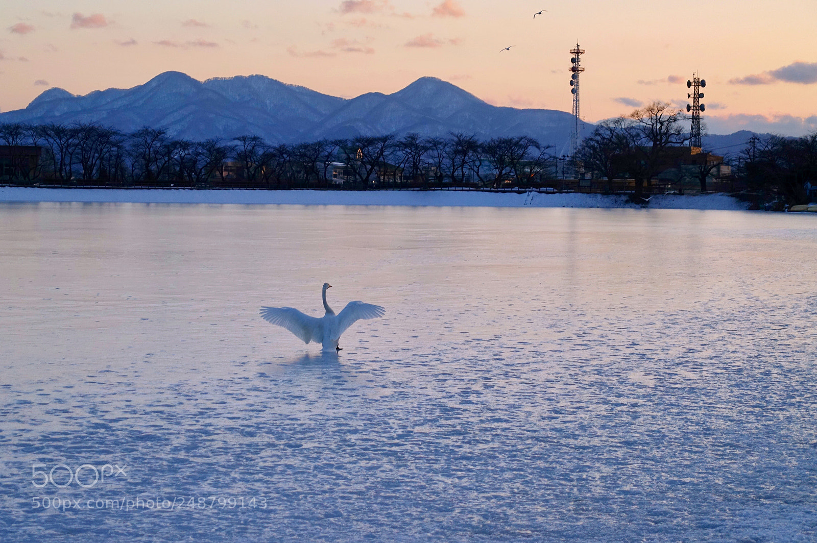 Sony Cyber-shot DSC-RX100 IV sample photo. 向天歌 photography