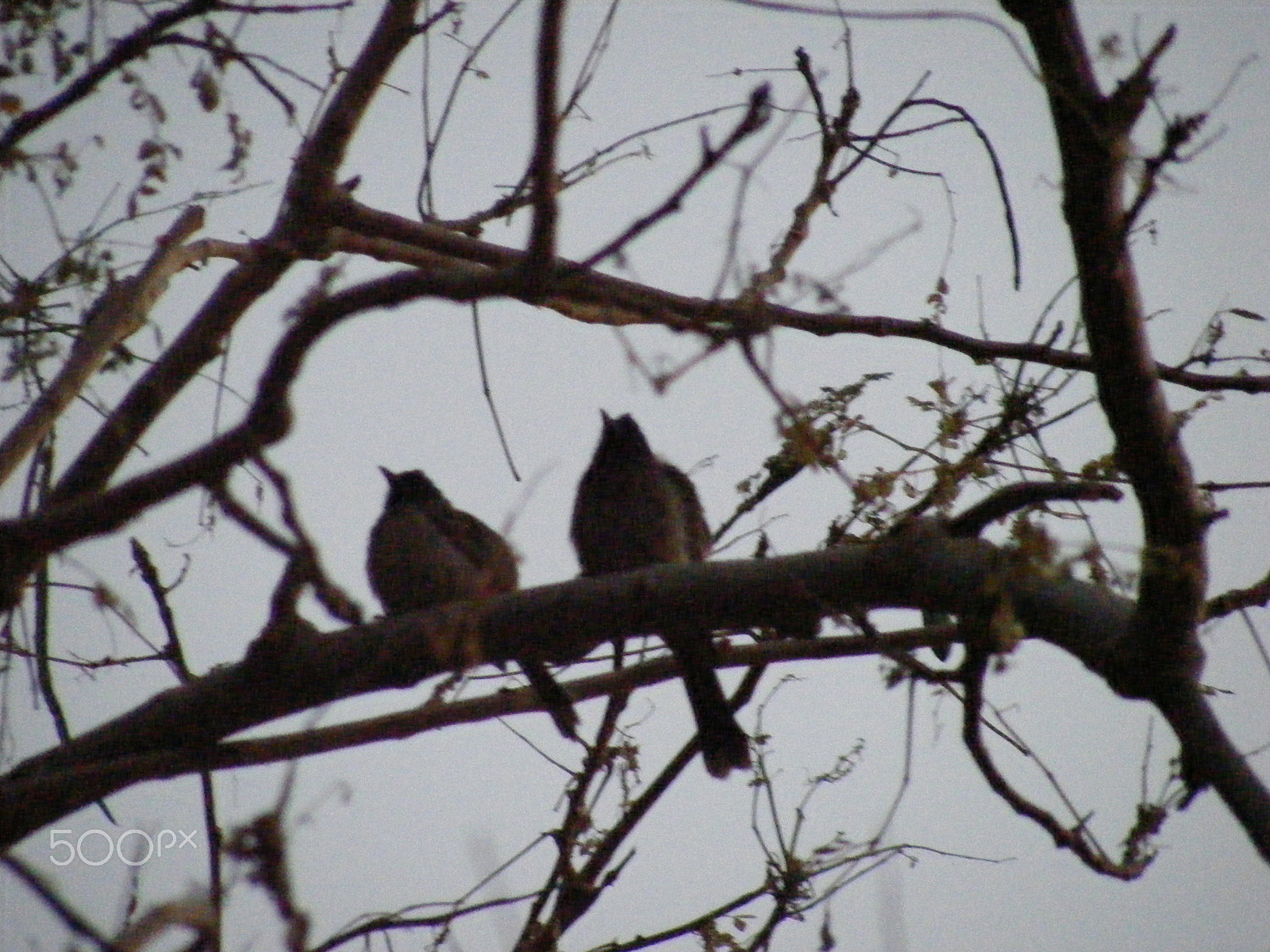 Fujifilm FinePix S5700 S700 sample photo. Nature photography