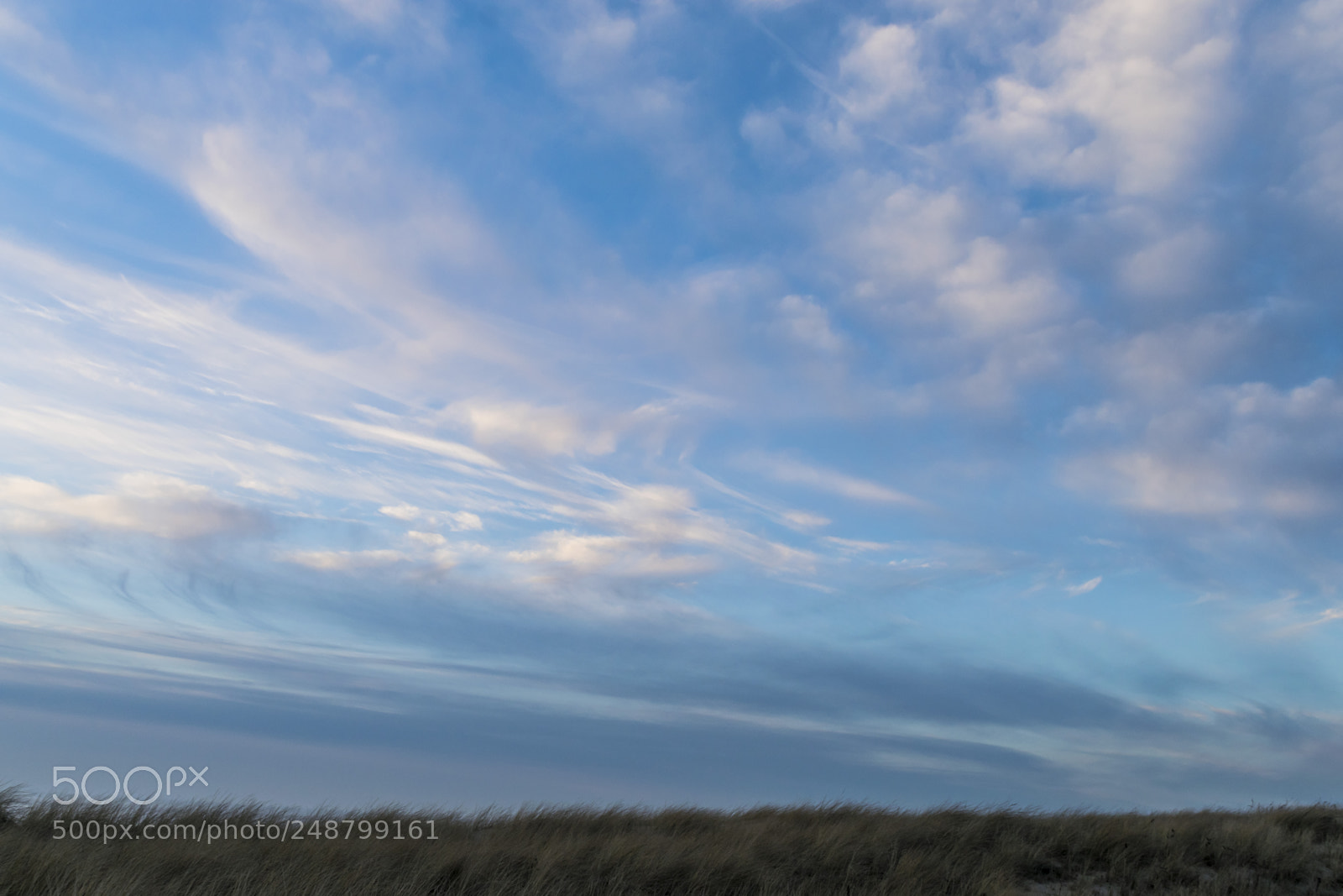 Nikon D3300 sample photo. Blue sky over the photography