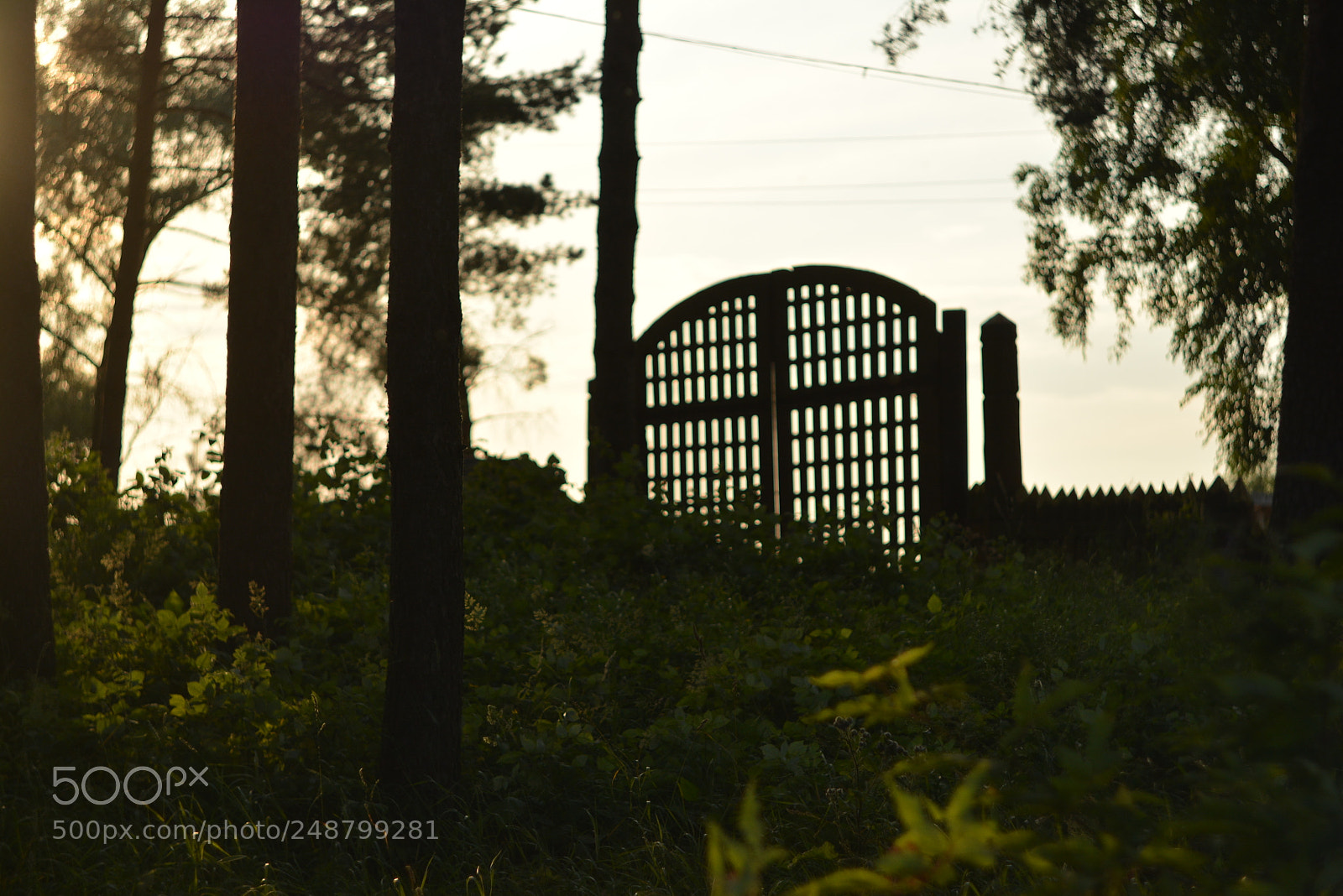 Nikon D5200 sample photo. Door photography
