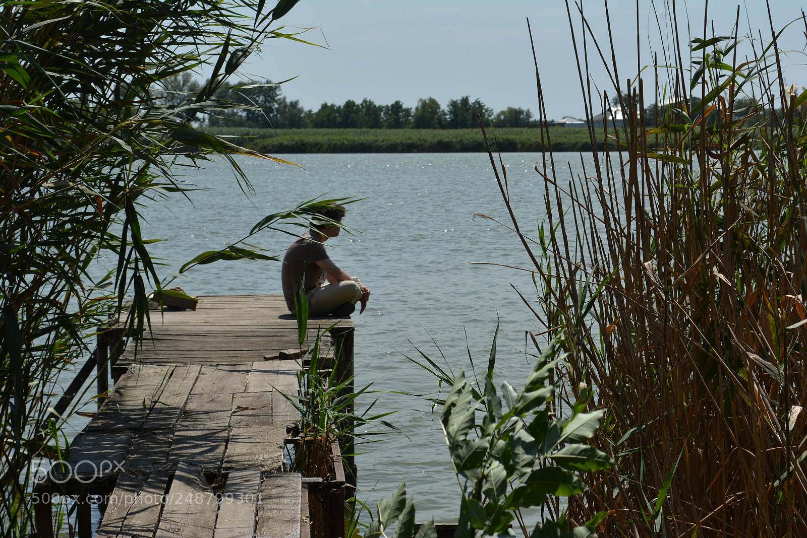 Nikon D5200 sample photo. Brother photography