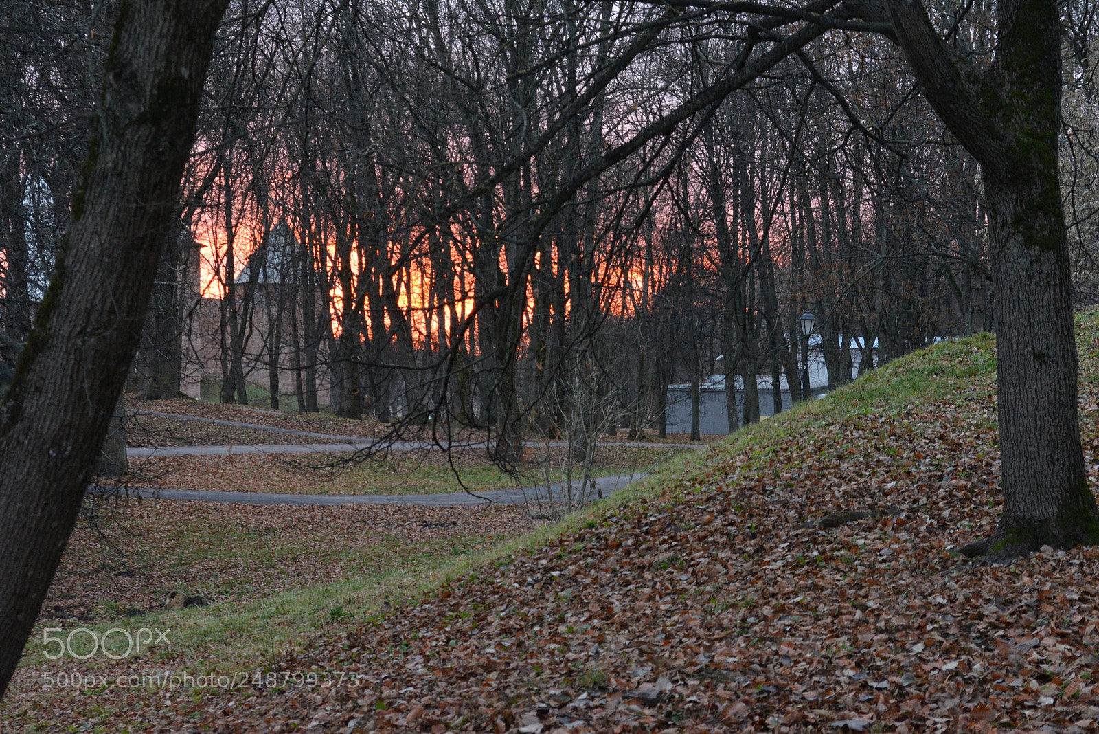 Nikon D5200 sample photo. Sunset photography