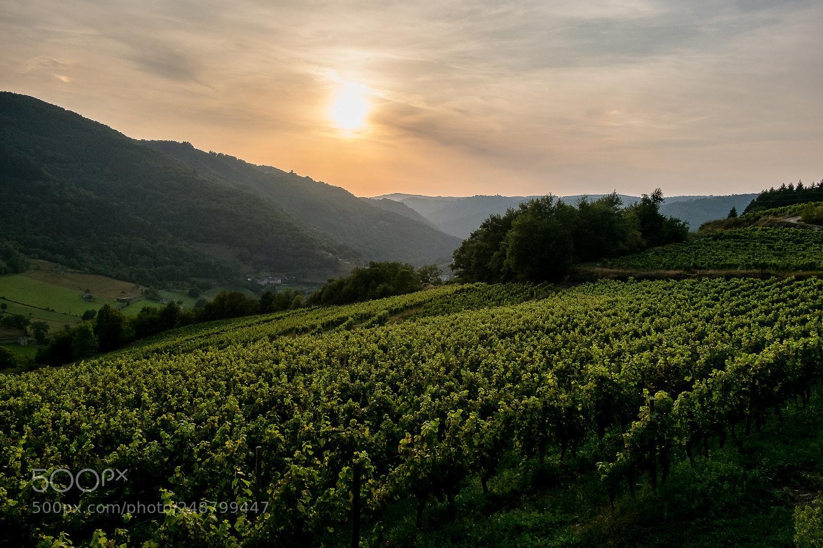 Fujifilm X-M1 sample photo. Countryside sunset photography