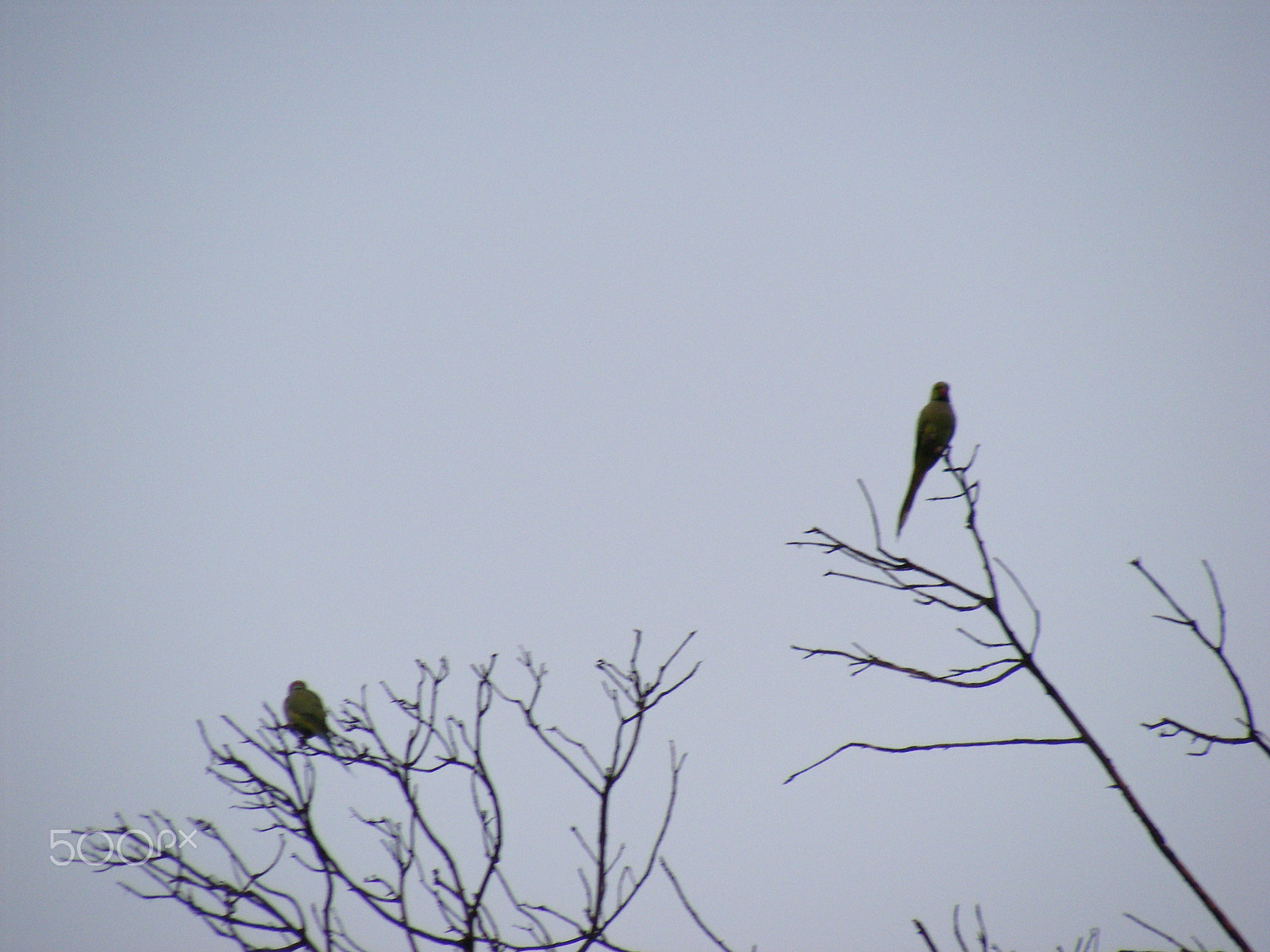 Fujifilm FinePix S5700 S700 sample photo. Nature photography