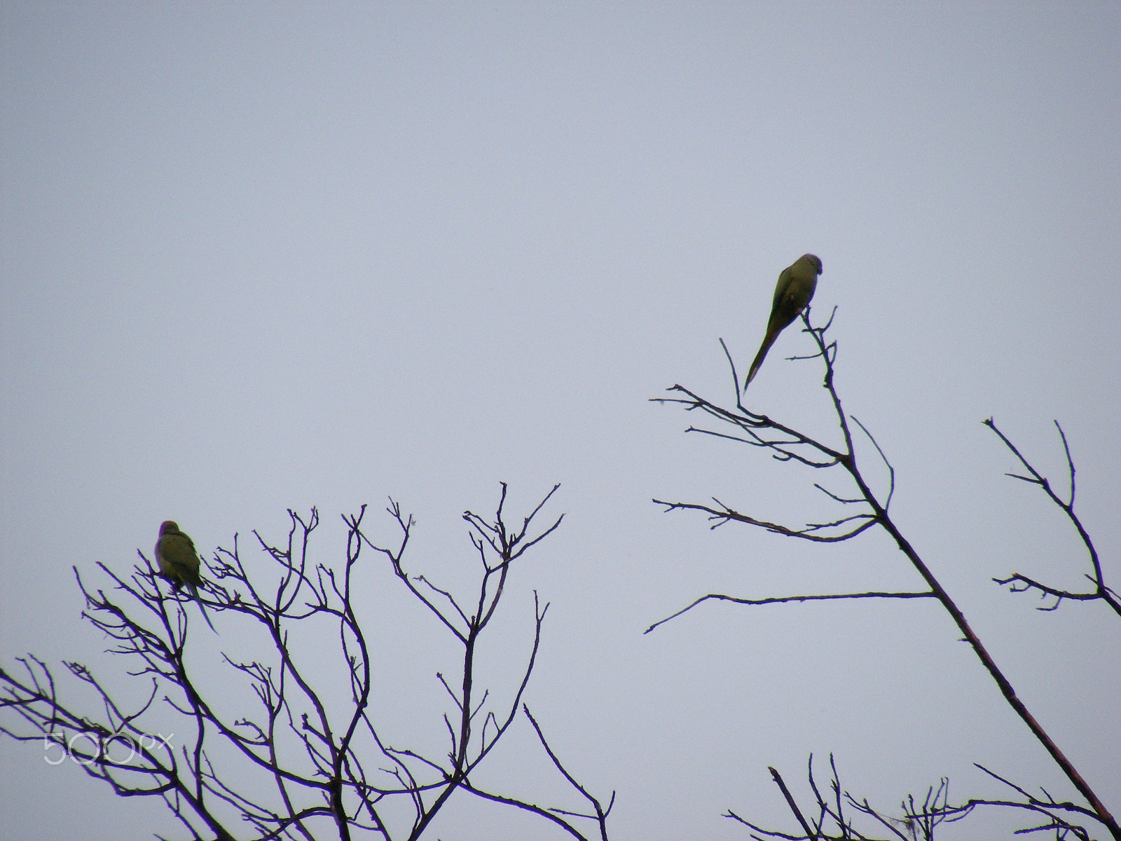 Fujifilm FinePix S5700 S700 sample photo. Nature photography