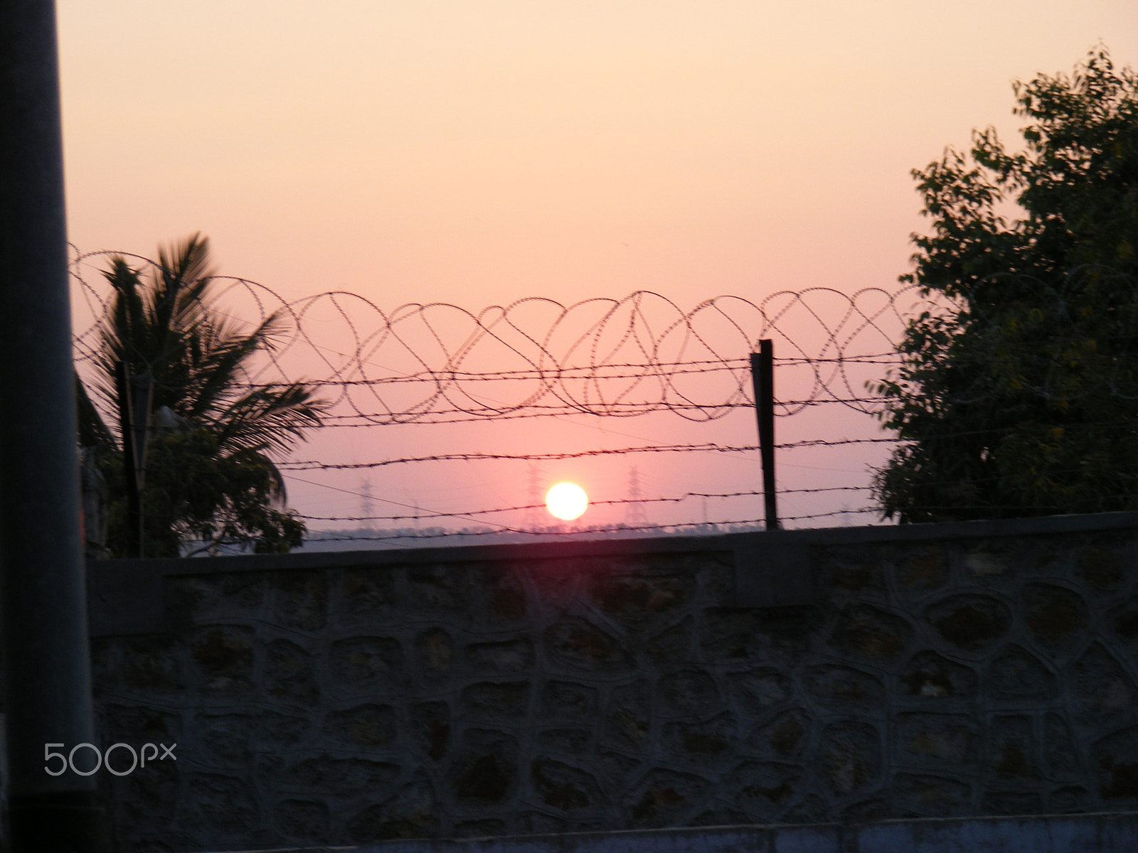 Fujifilm FinePix S5700 S700 sample photo. Nature photography