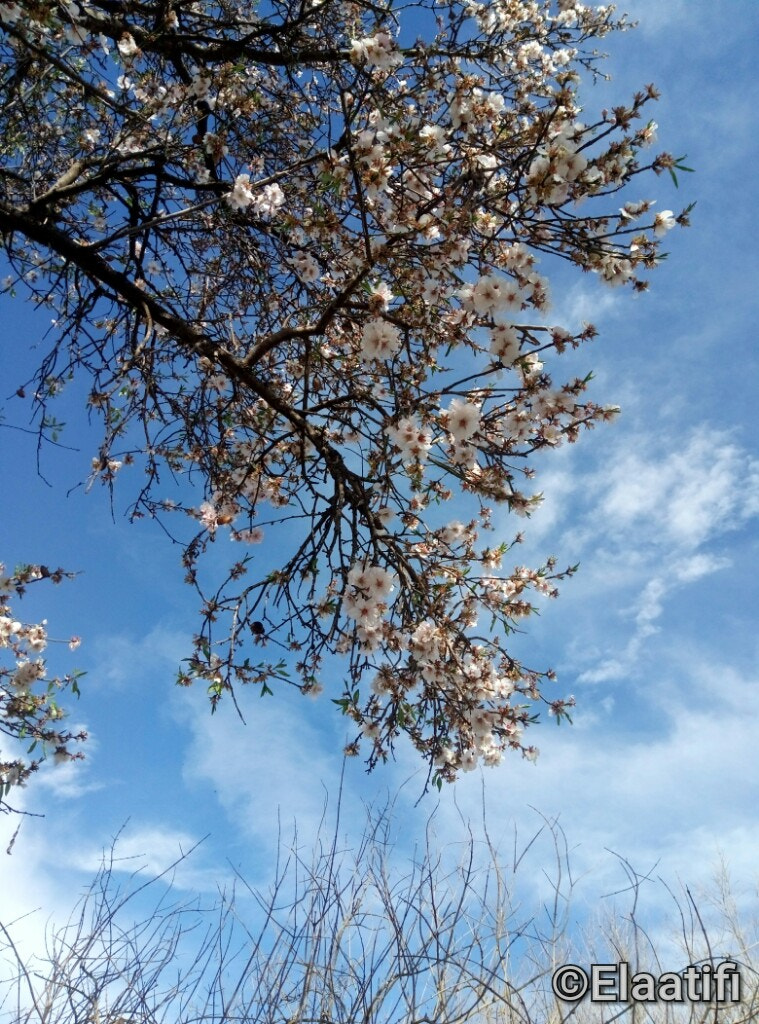 Meizu M3s sample photo