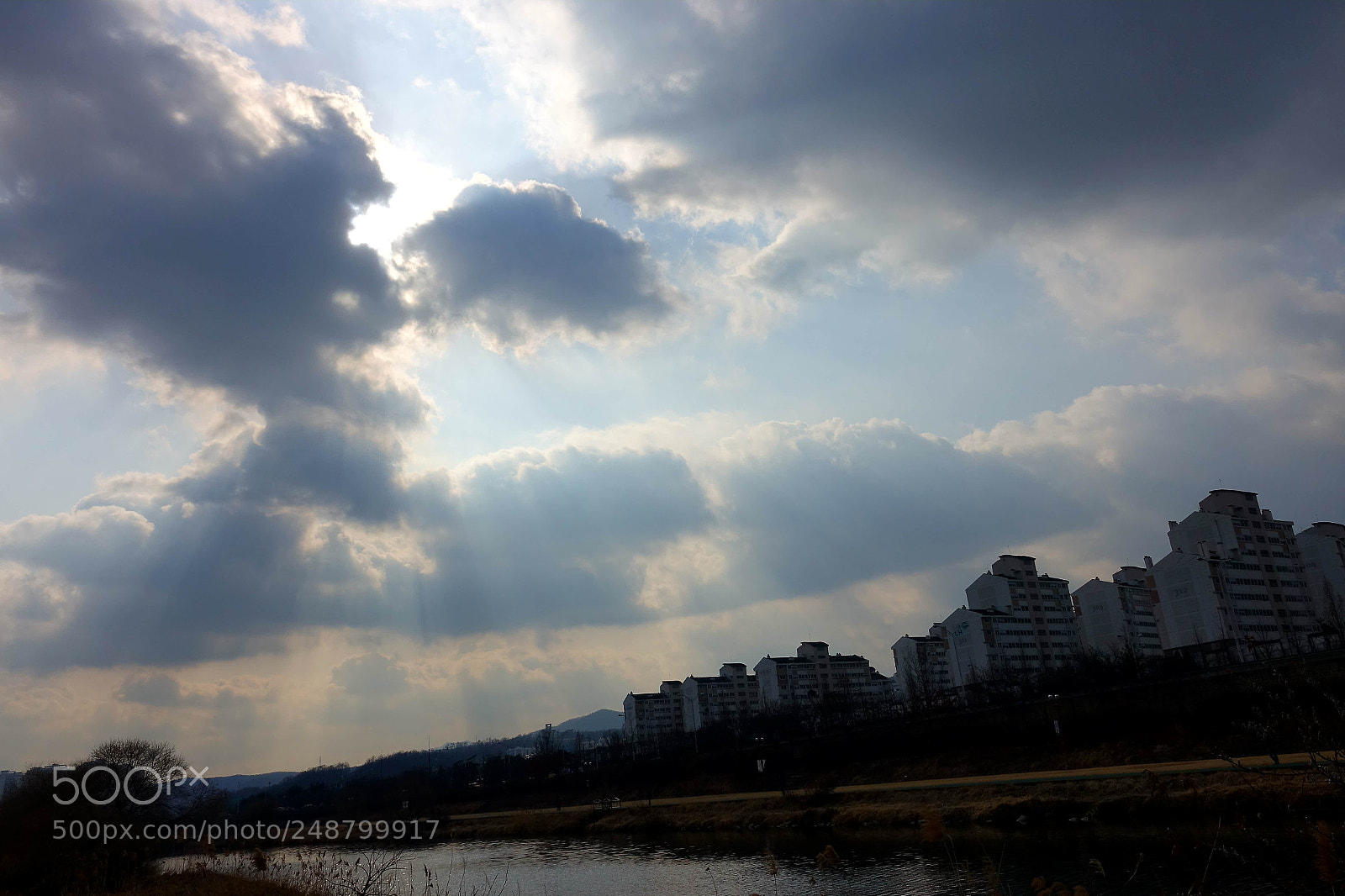 Sony Cyber-shot DSC-RX10 III sample photo. Untitled photography