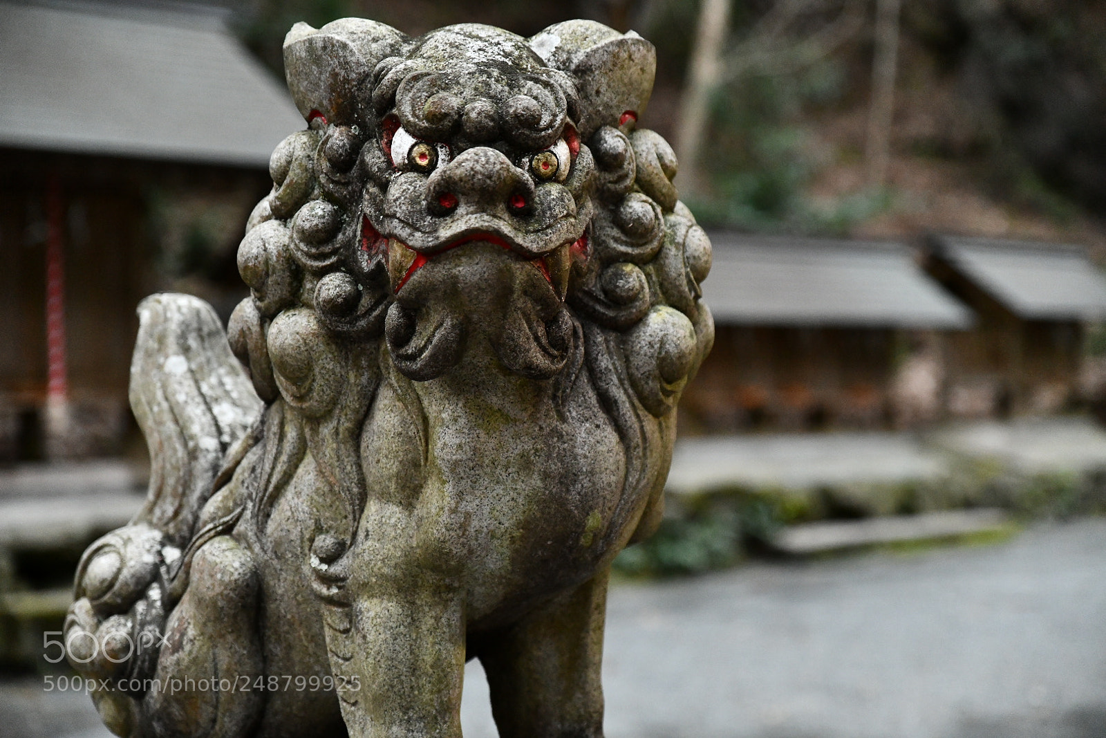 Nikon D850 sample photo. Untitled photography