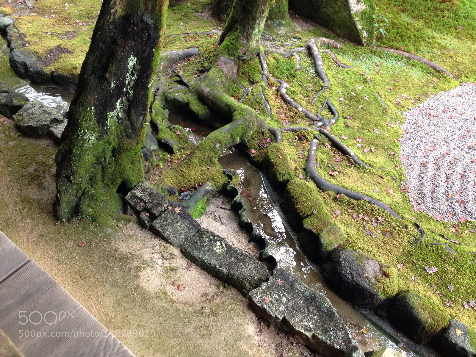 Apple iPhone 5 sample photo. Ios photography