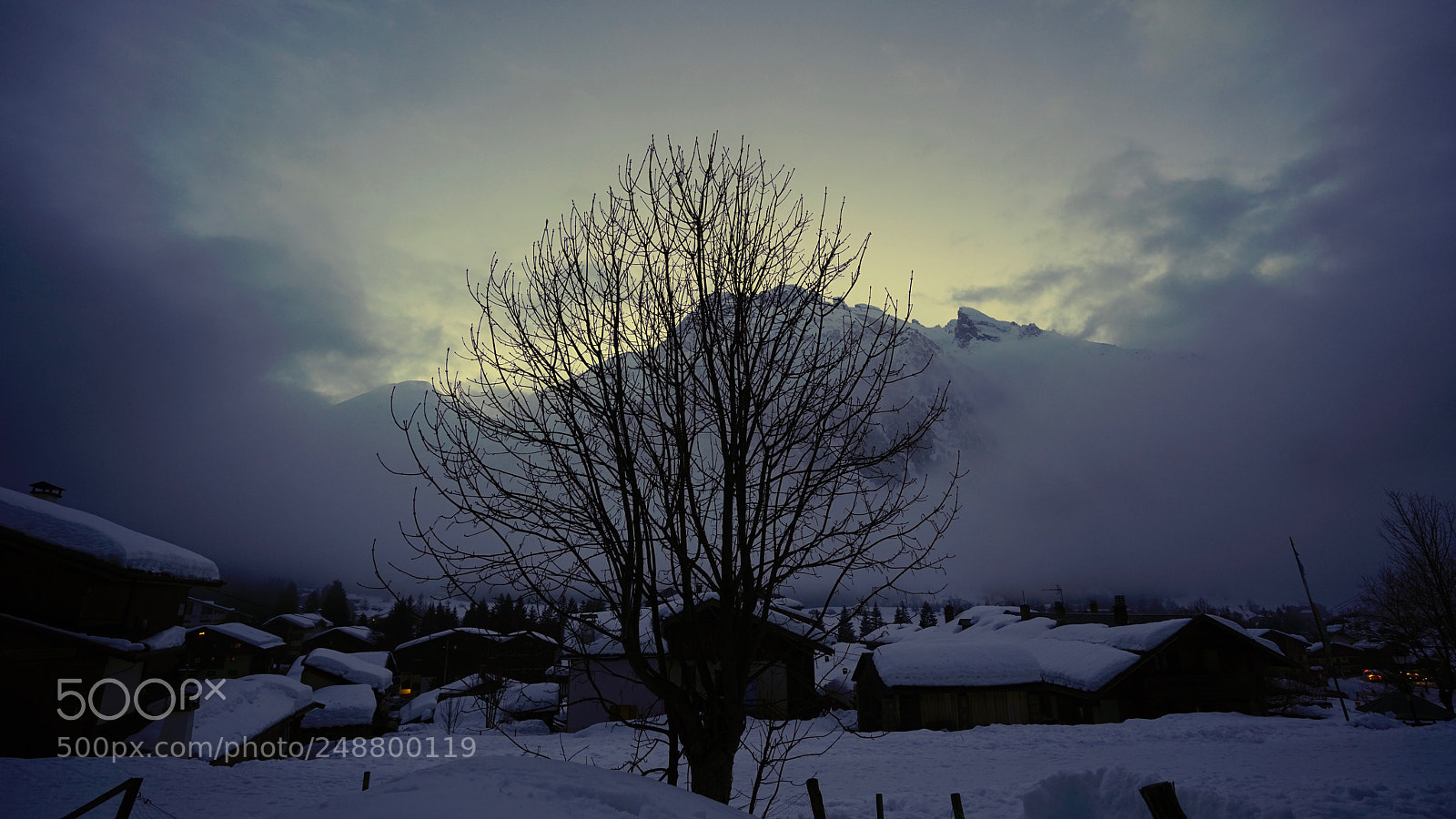 Sony a7R II sample photo. Dsc photography