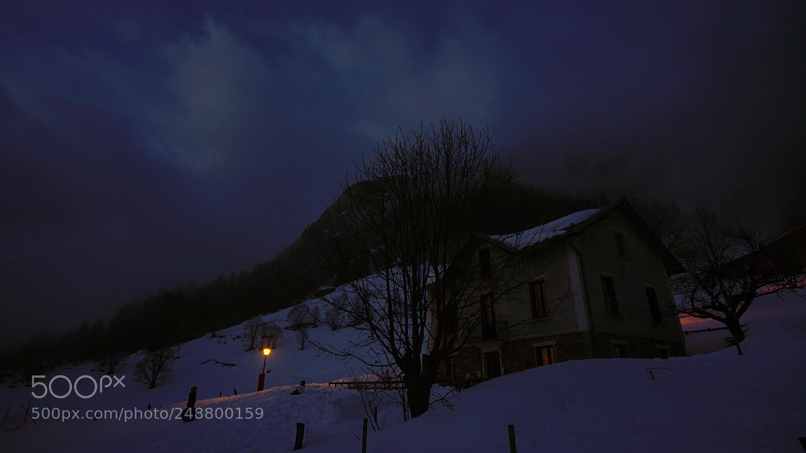 Sony a7R II sample photo. Dsc photography