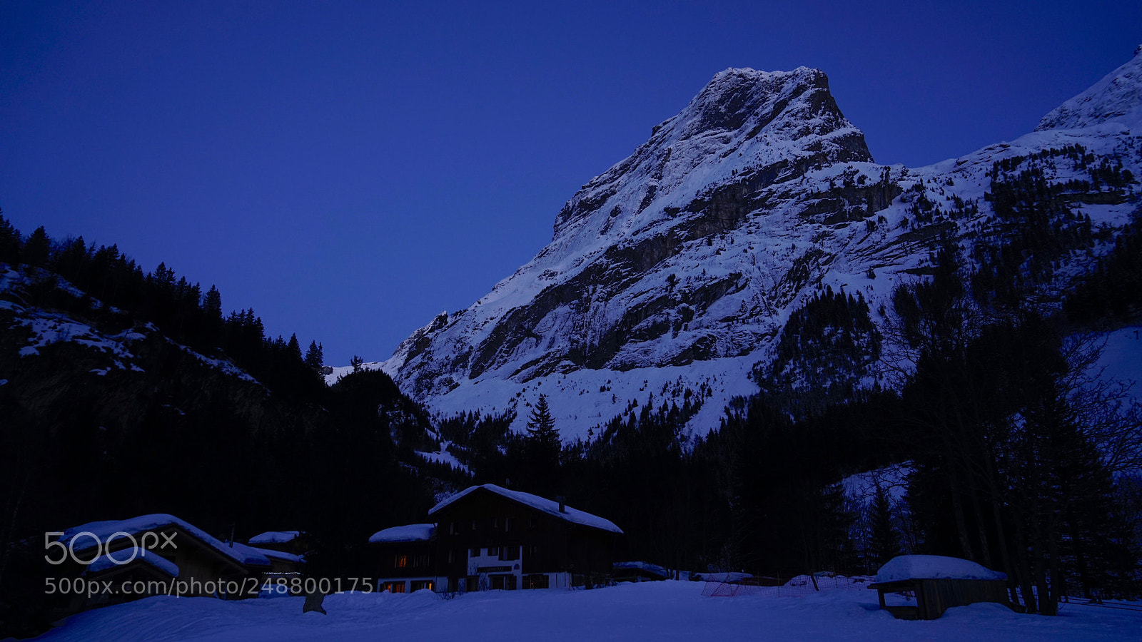 Sony a7R II sample photo. Dsc photography
