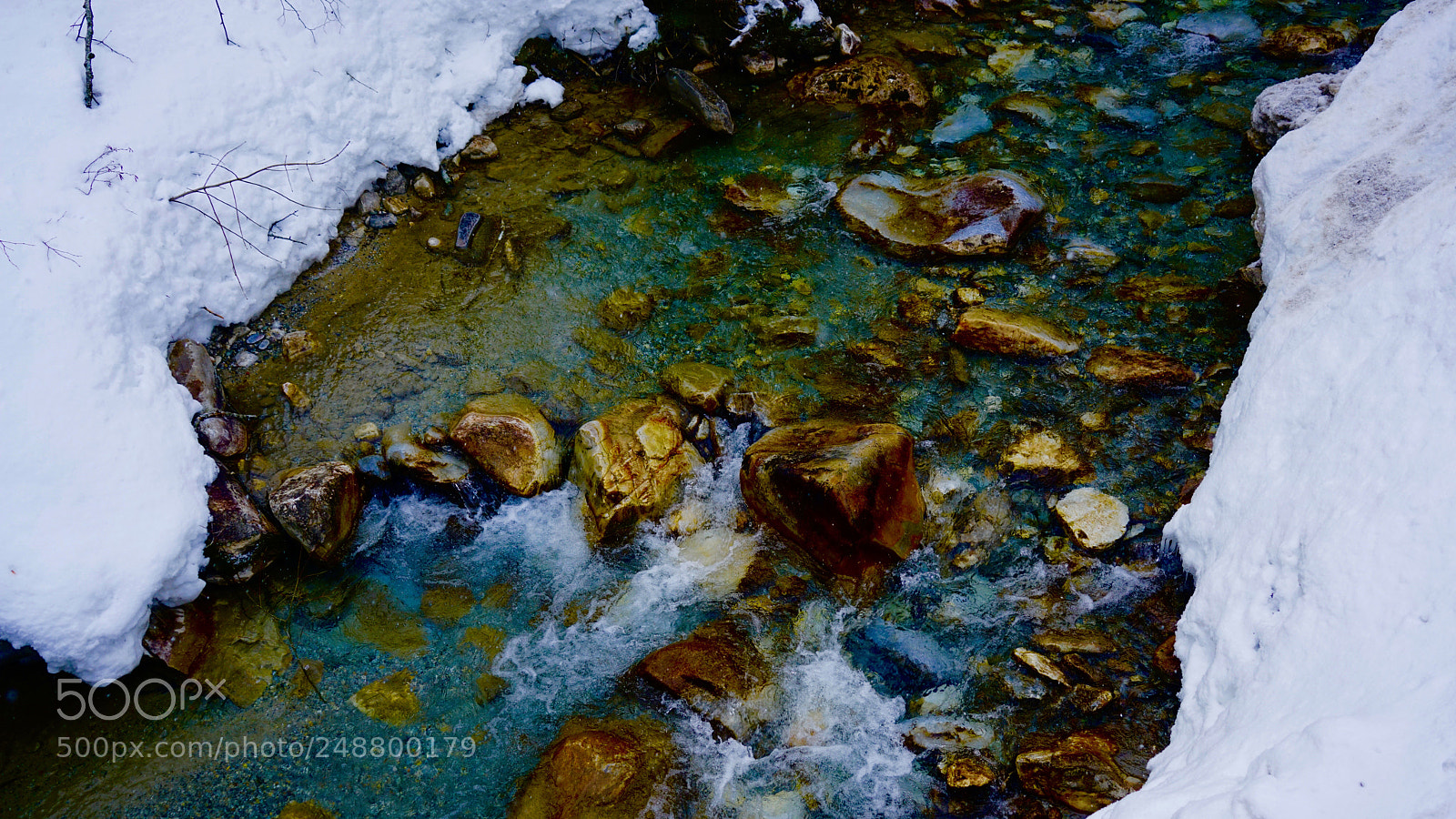 Sony a7R II sample photo. Dsc photography