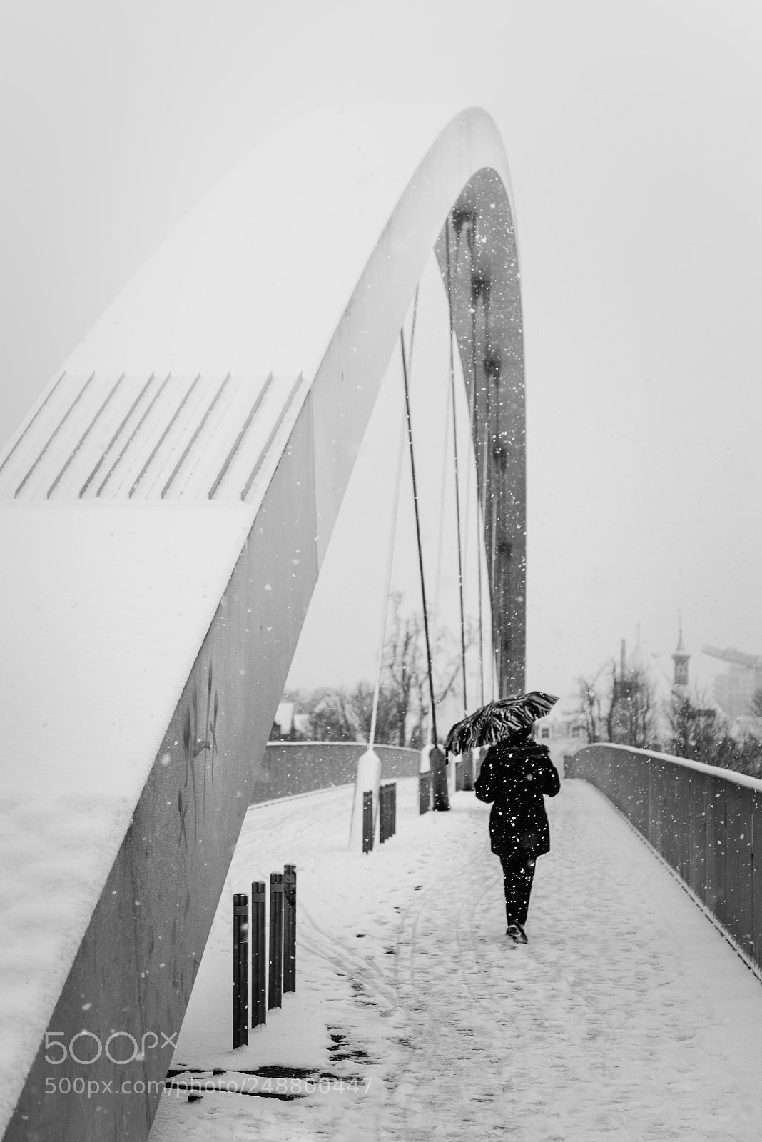 Nikon D600 sample photo. Walking in the snow photography