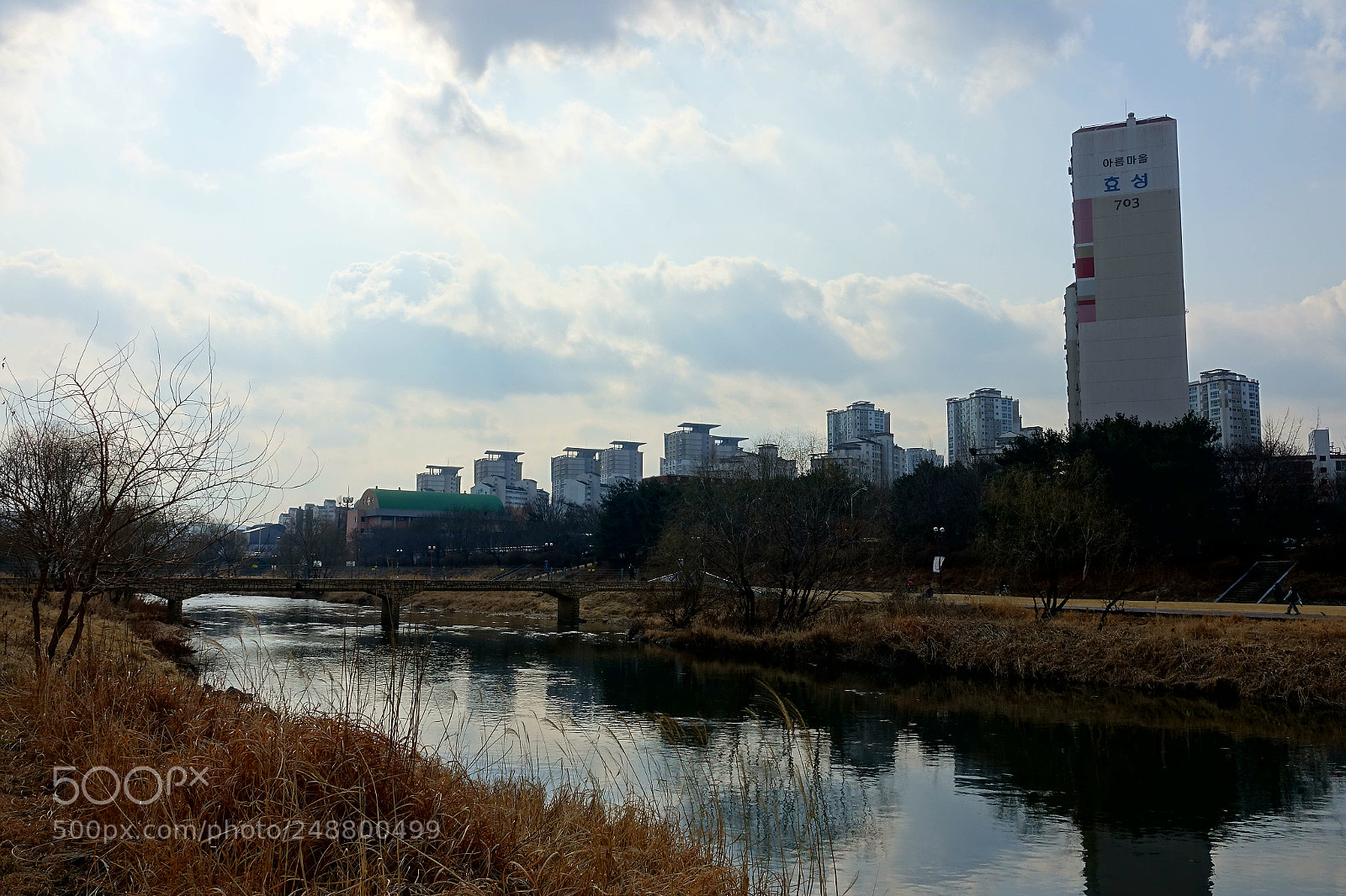 Sony Cyber-shot DSC-RX10 III sample photo. Untitled photography