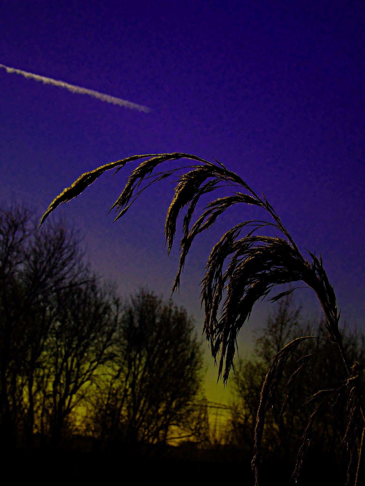 Olympus SP-810UZ sample photo. A little light in the dark. photography
