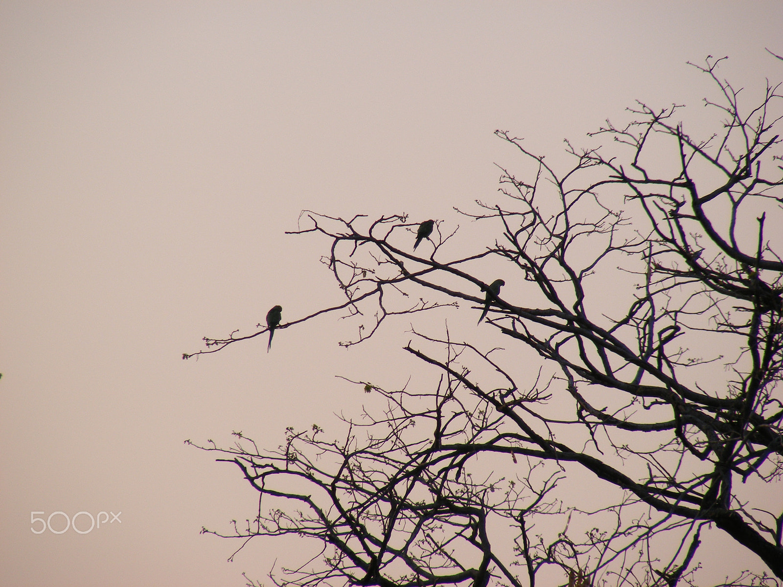 Fujifilm FinePix S5700 S700 sample photo. Nature photography