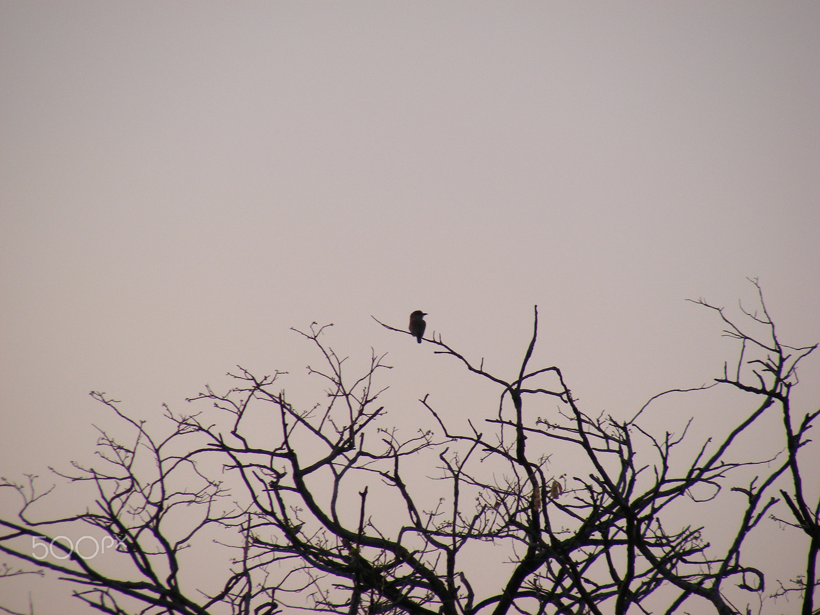 Fujifilm FinePix S5700 S700 sample photo. Nature photography