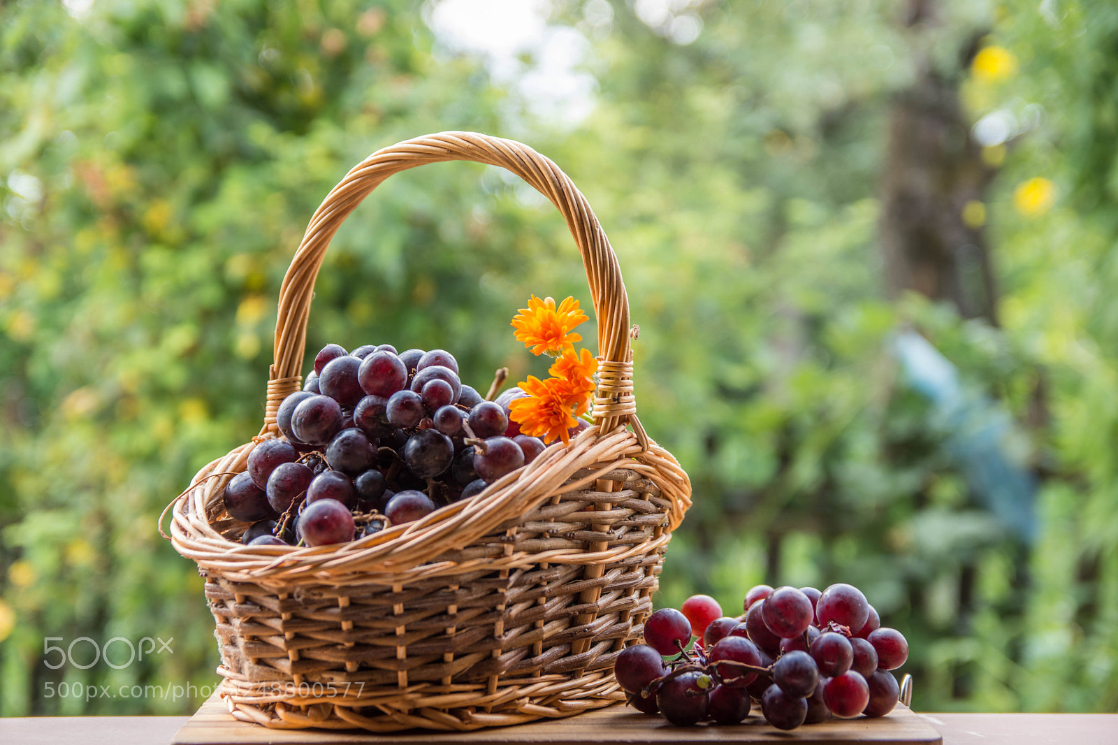 Nikon D7200 sample photo. Wine and grapes photography