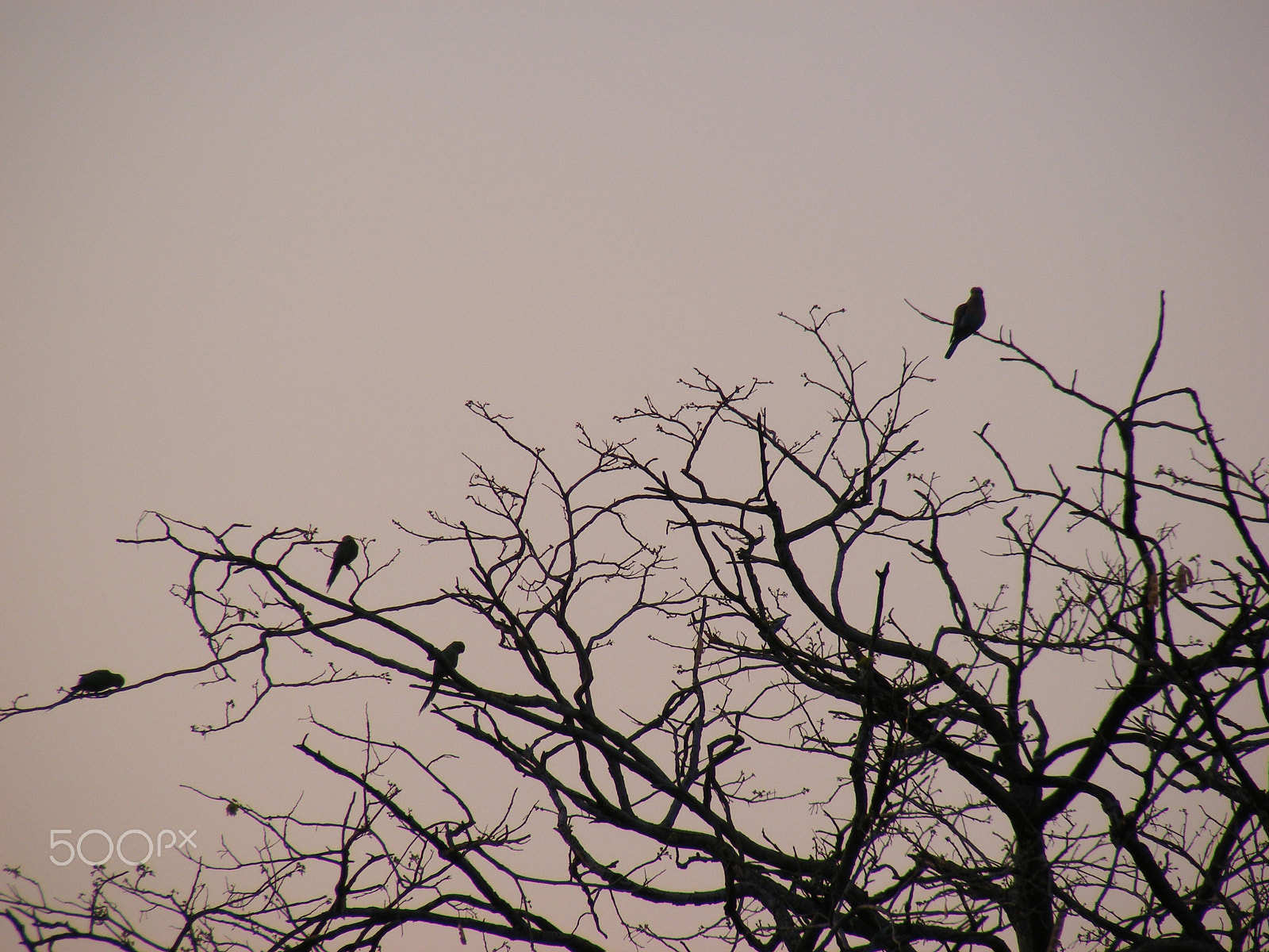 Fujifilm FinePix S5700 S700 sample photo. Nature photography