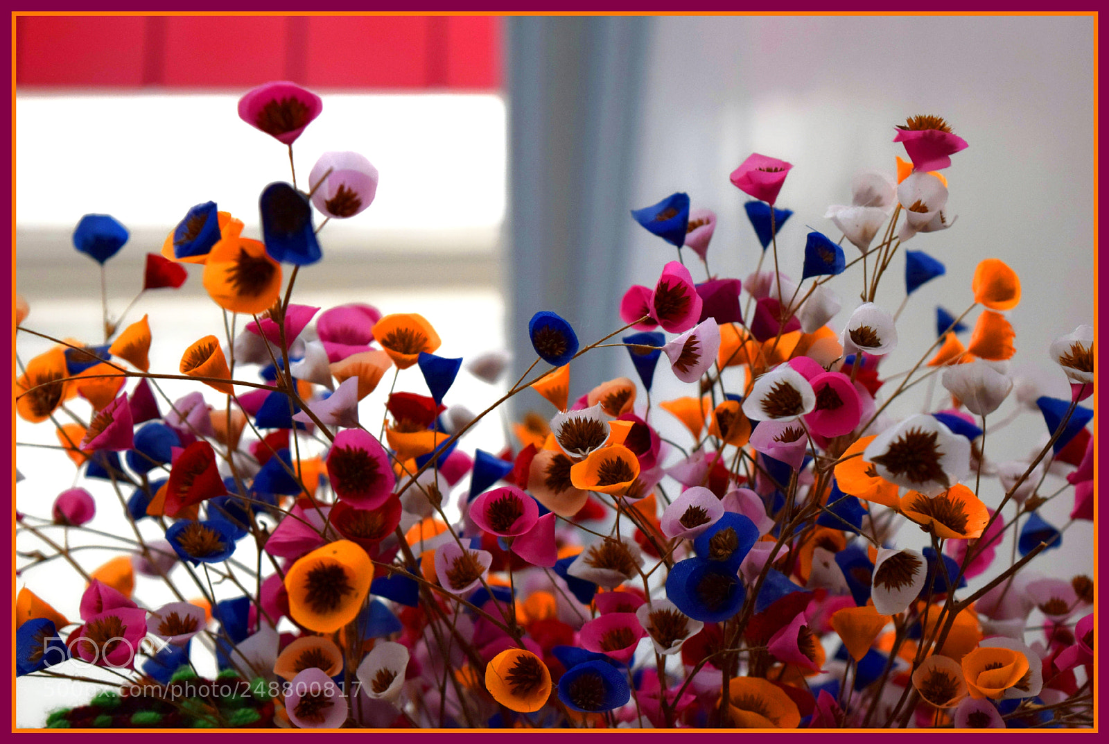 Nikon D5300 sample photo. "bonjuxuxu... ;-)" photography