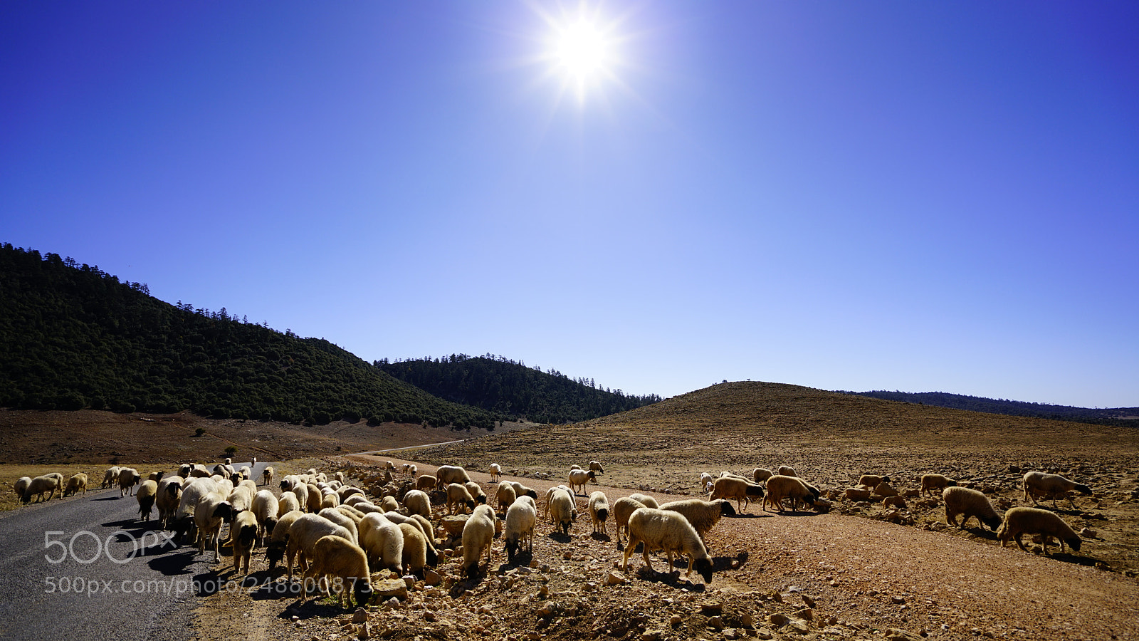 Sony a7R II sample photo. Morocco photography