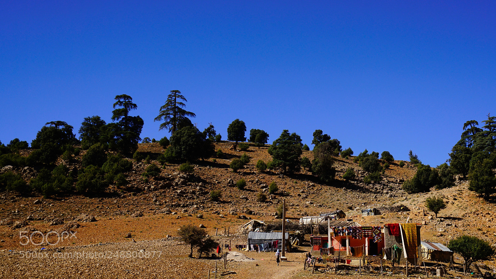 Sony a7R II sample photo. Morocco photography