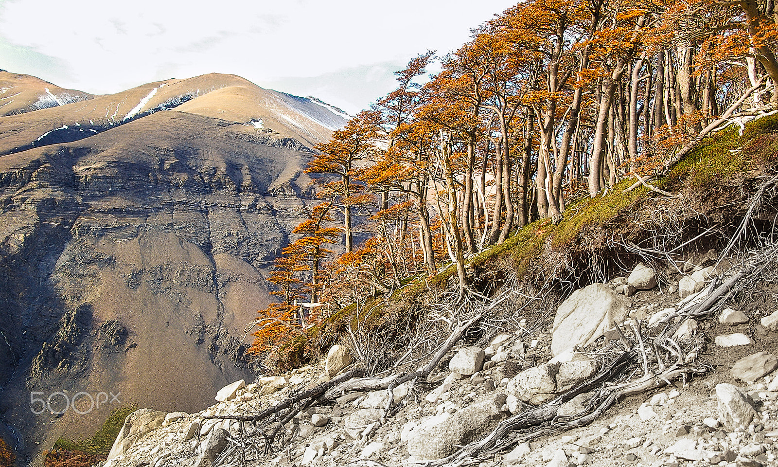 Pentax *ist DS sample photo. Patagonia beauty photography