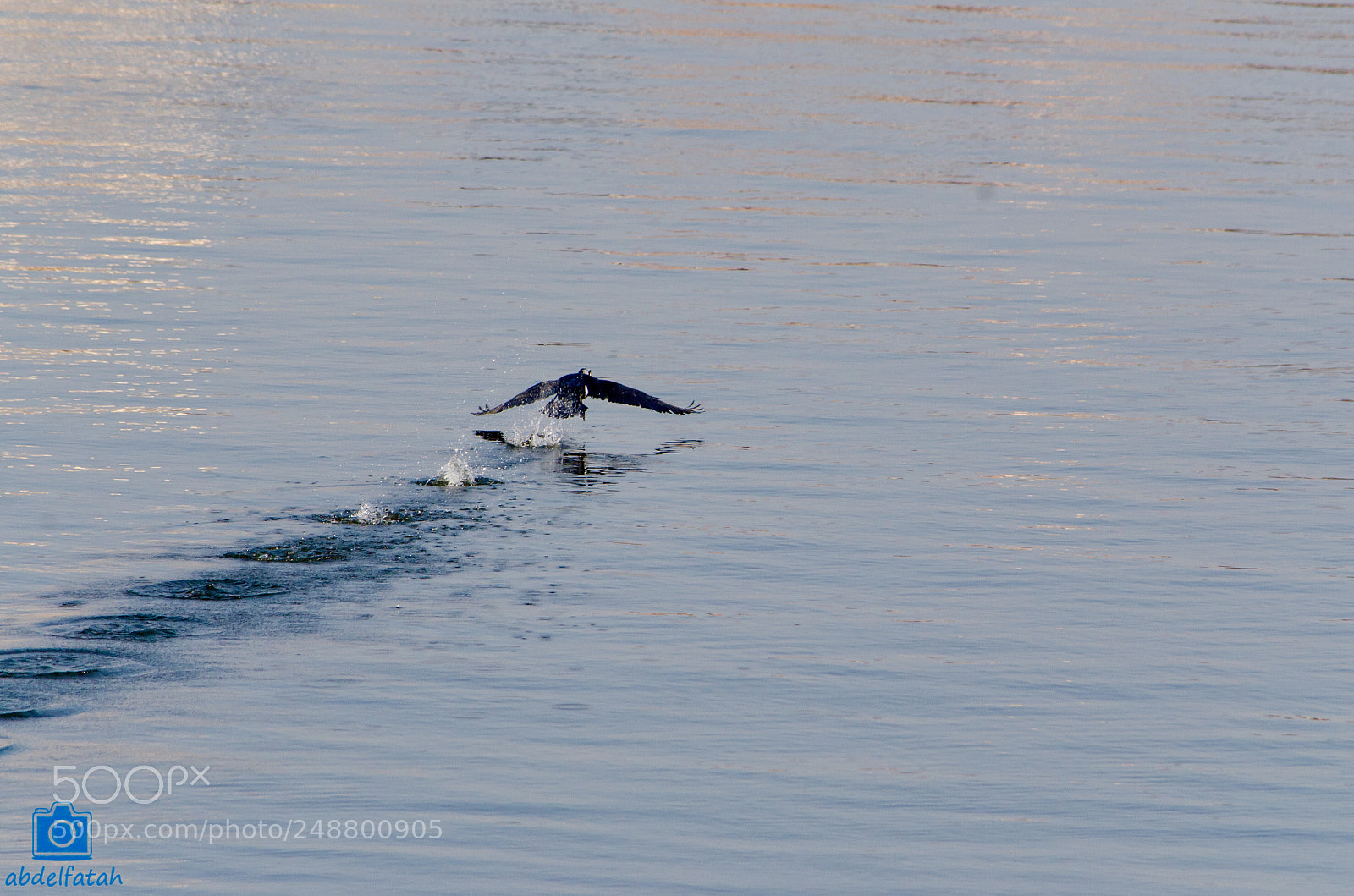 Nikon D7000 sample photo. Escape velocity photography