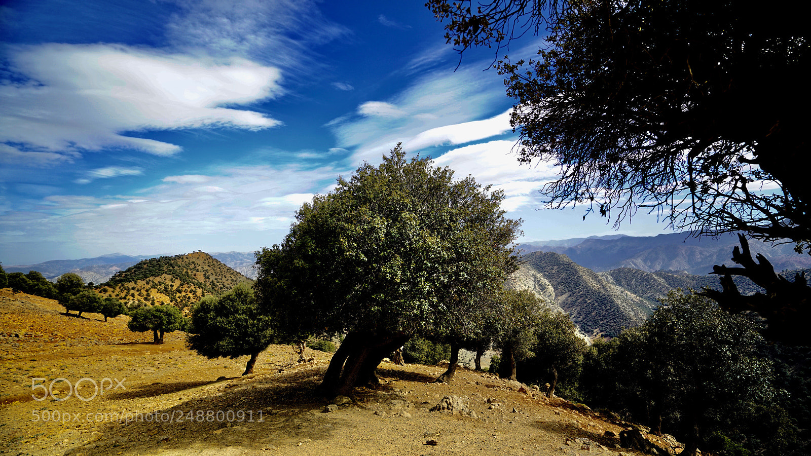 Sony a7R II sample photo. Morocco photography