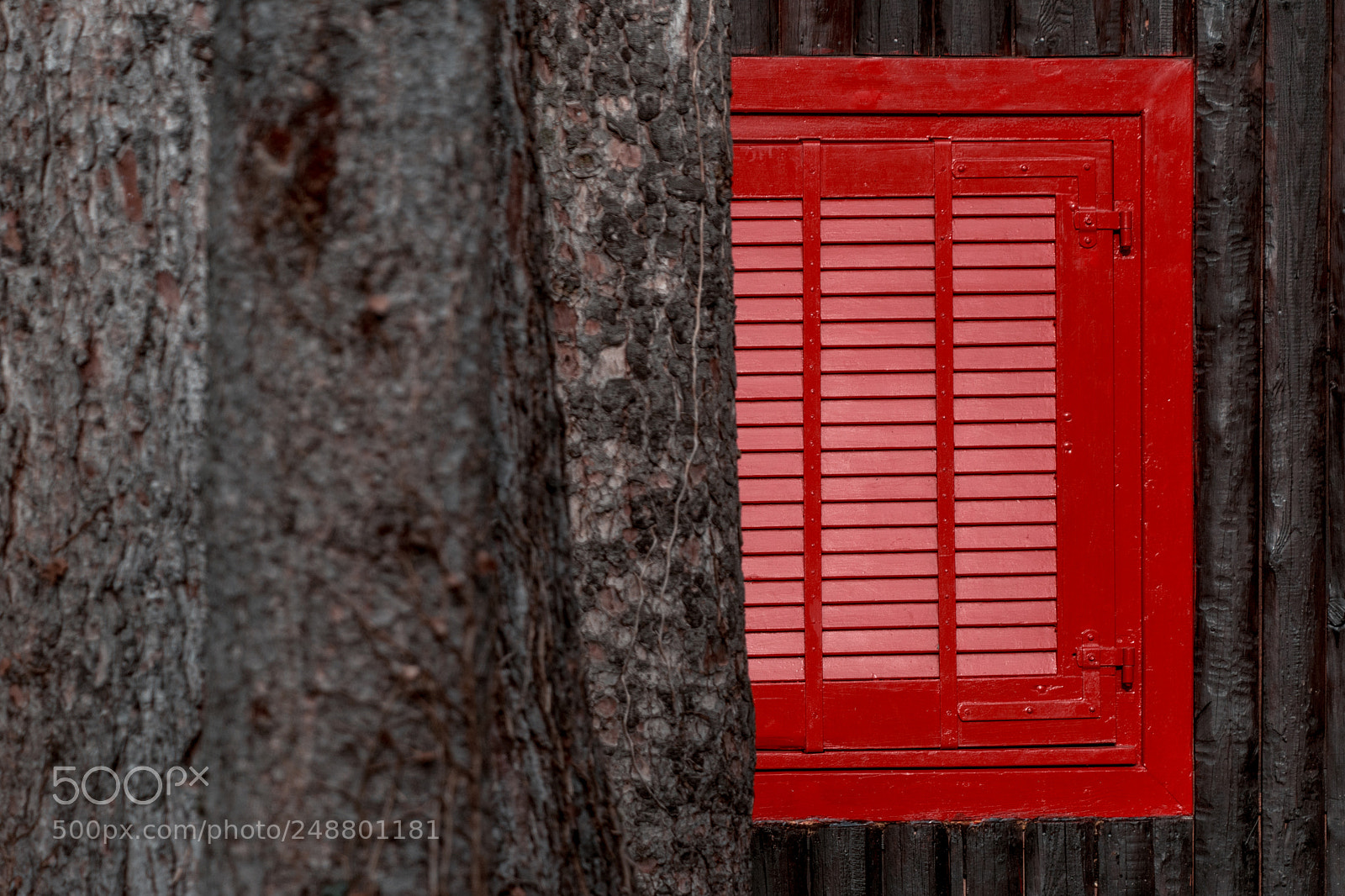 Nikon D7100 sample photo. Red shutters photography